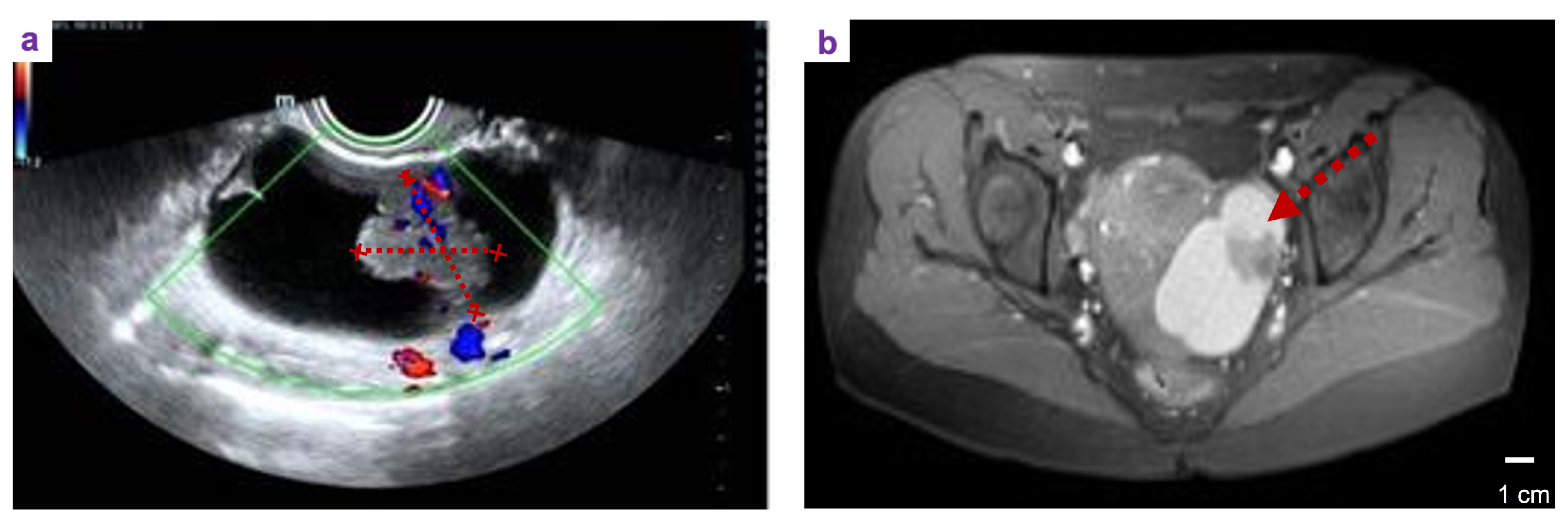 Preprints 182400 g001