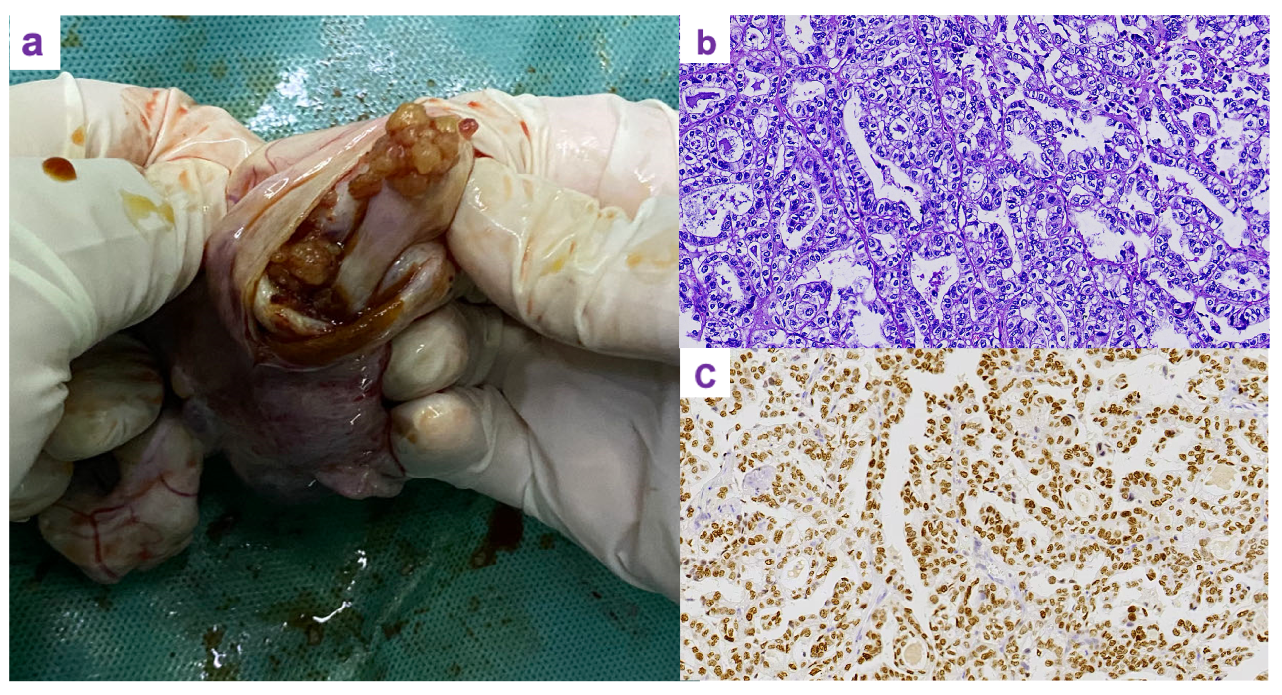 Preprints 182400 g002