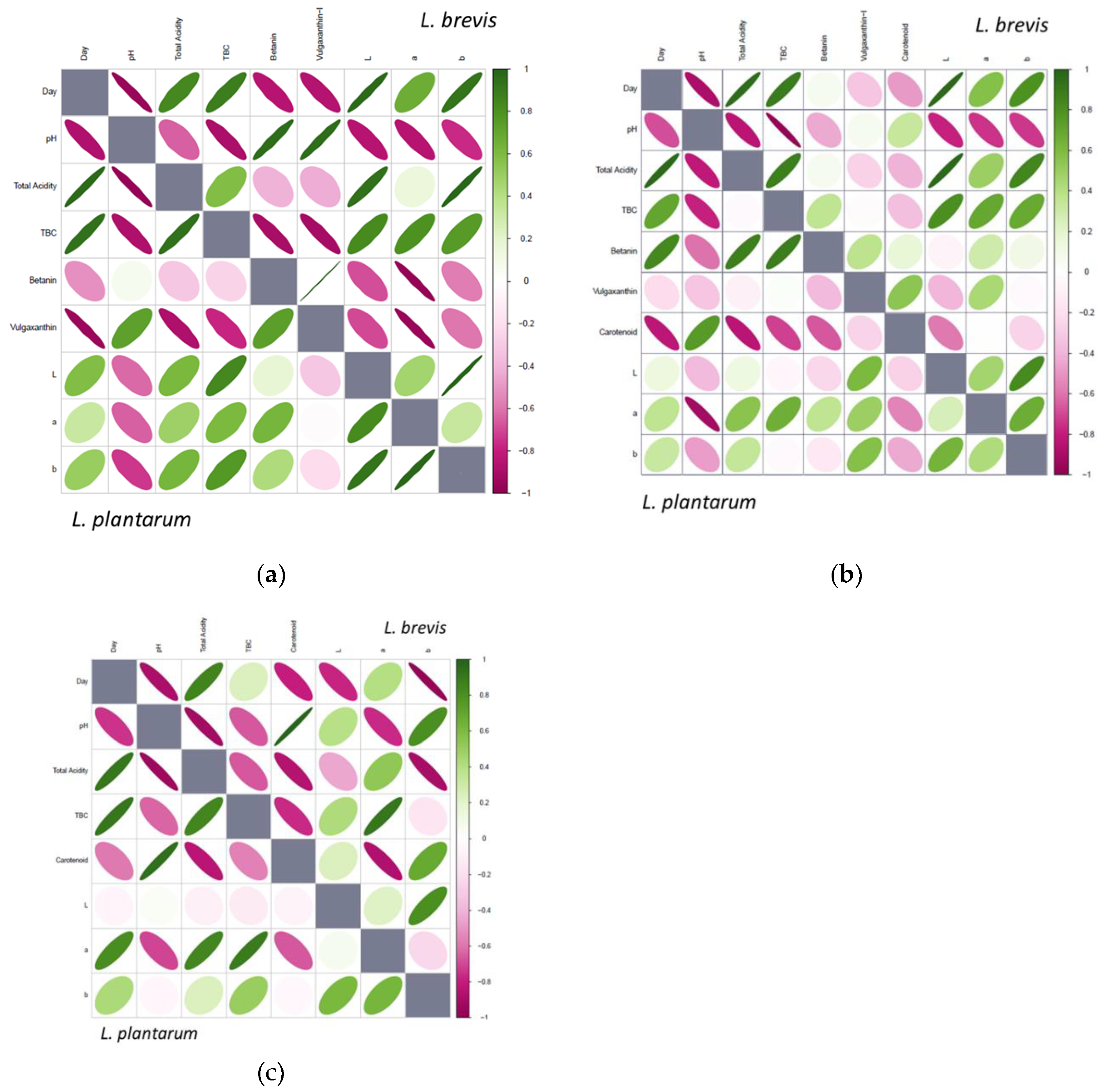 Preprints 72060 g004