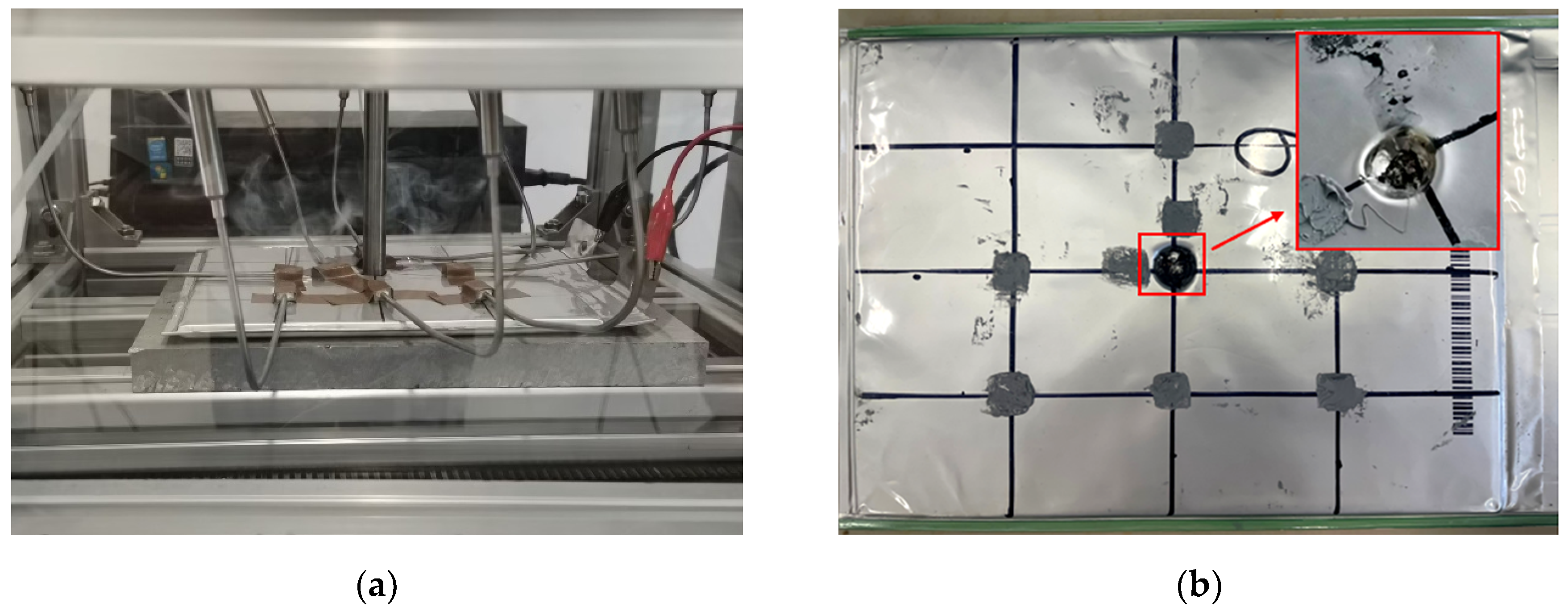 Preprints 212409 g005 Preprints 212409 g005