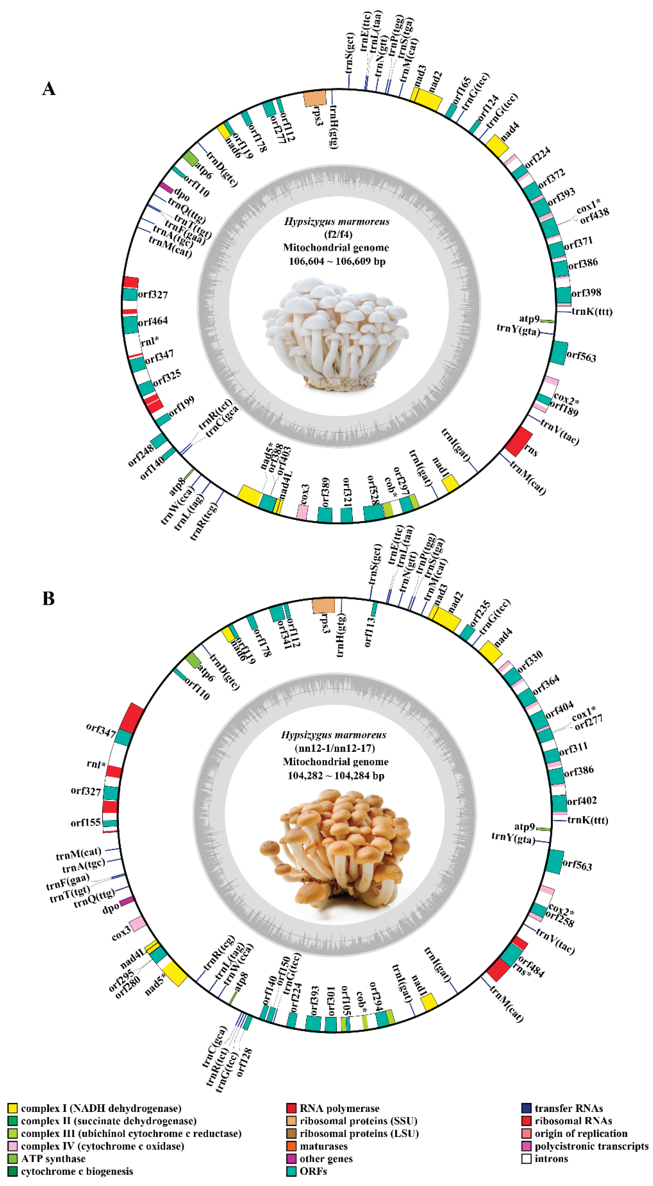 Preprints 199845 g001