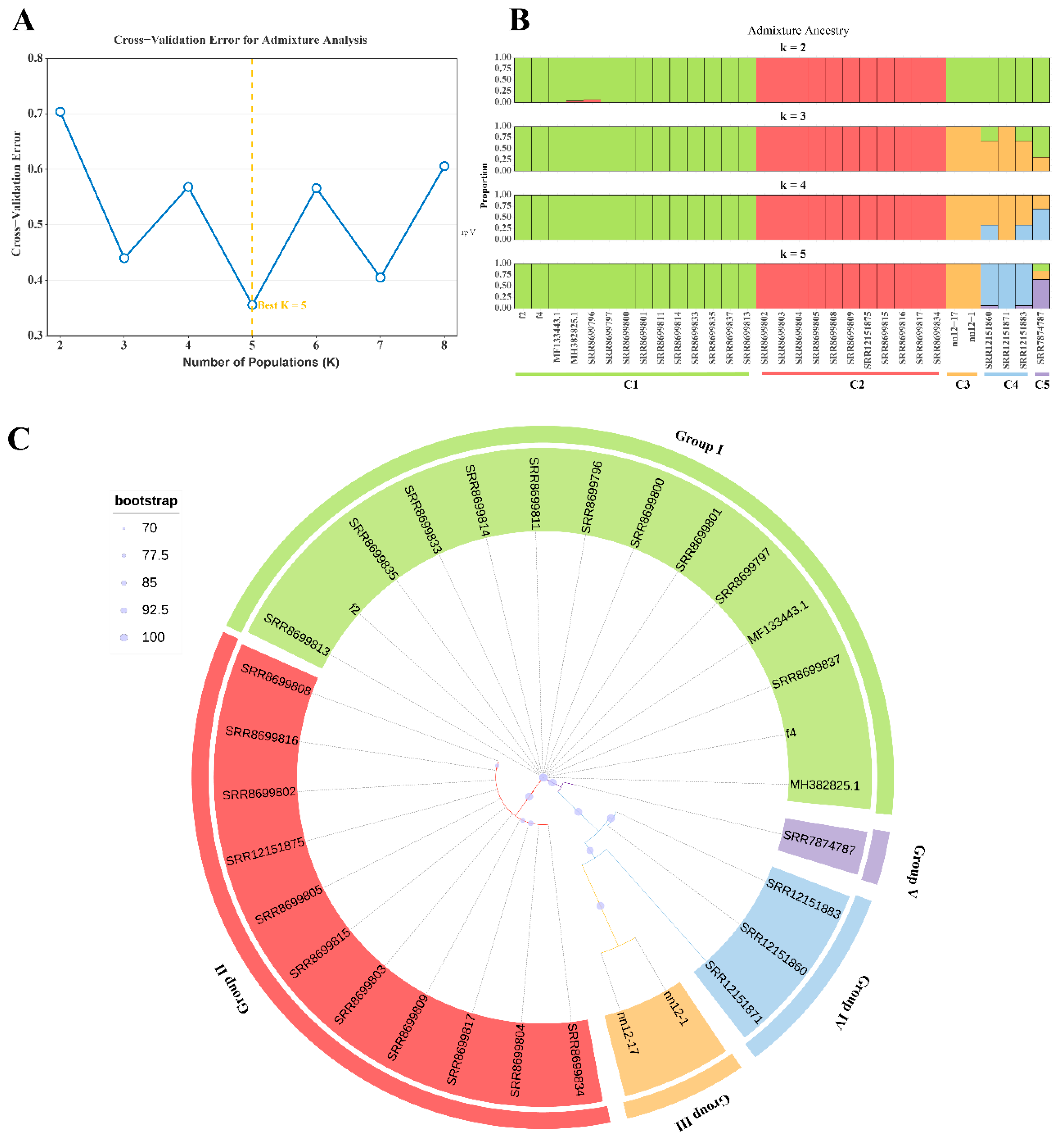 Preprints 199845 g007
