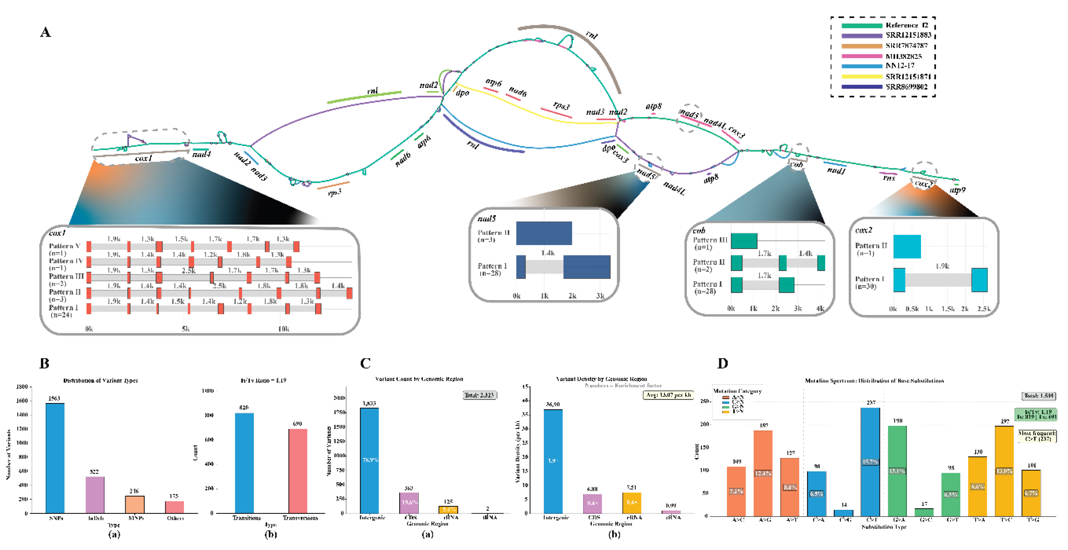 Preprints 199845 g009