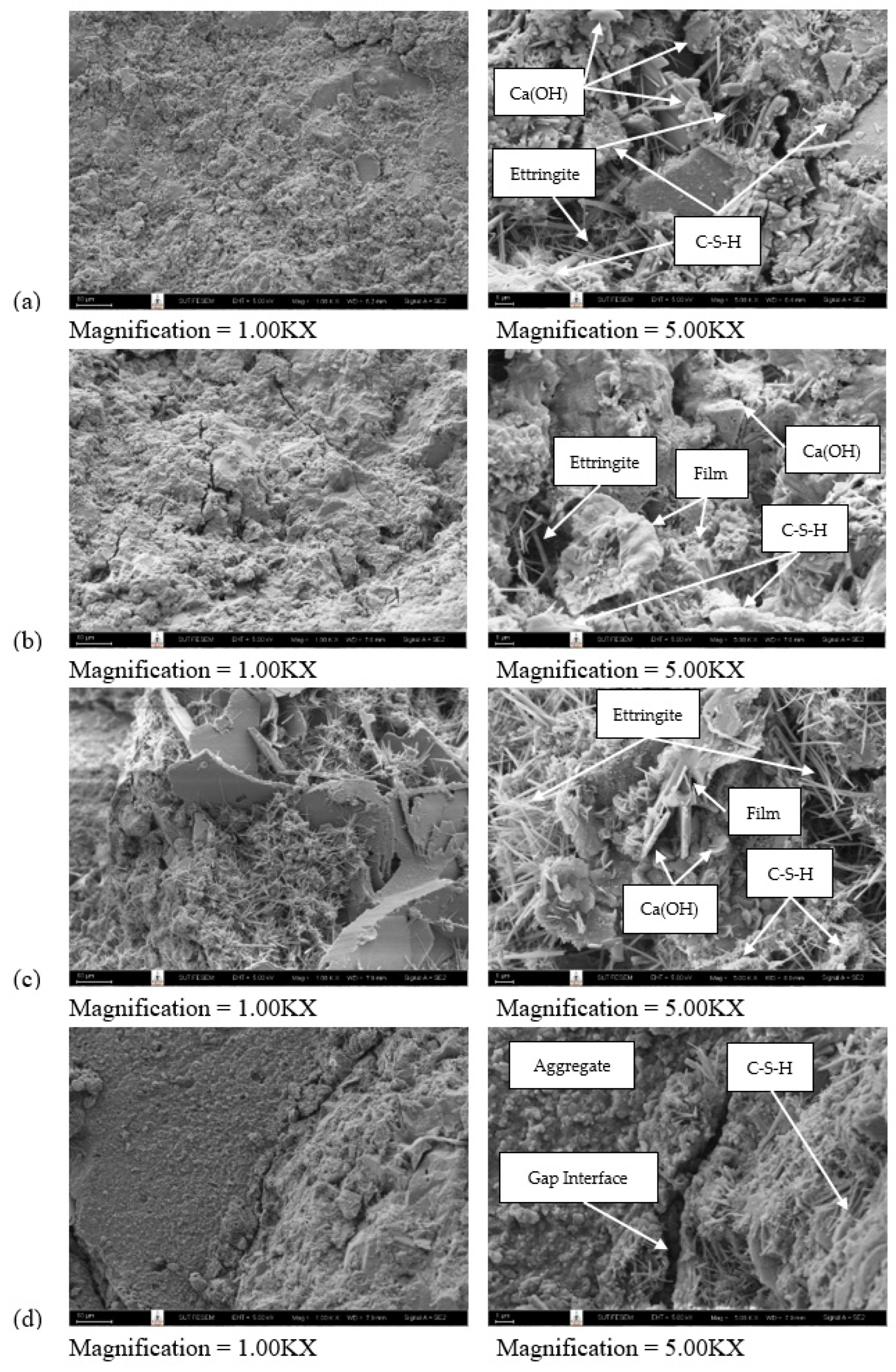 Preprints 79076 g008