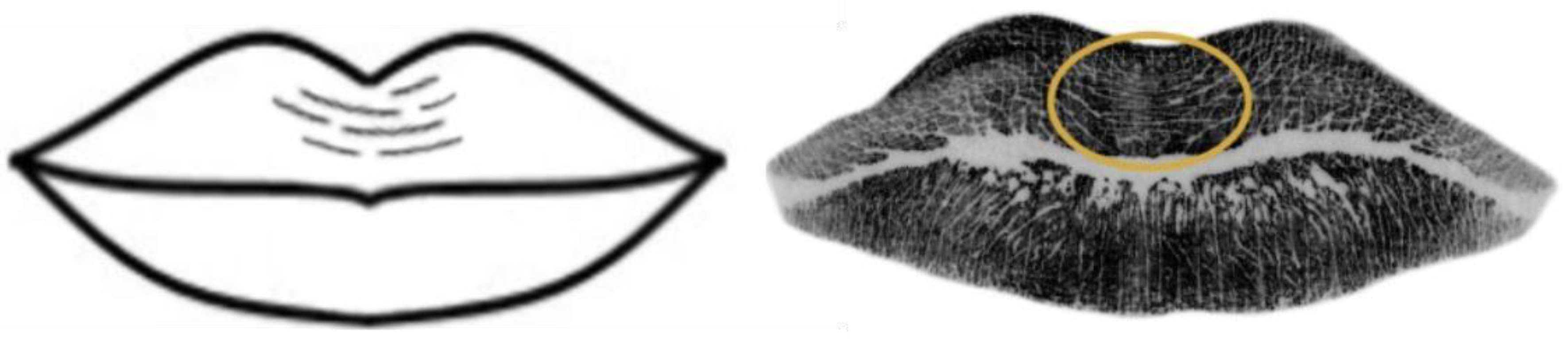 Preprints 109154 g007