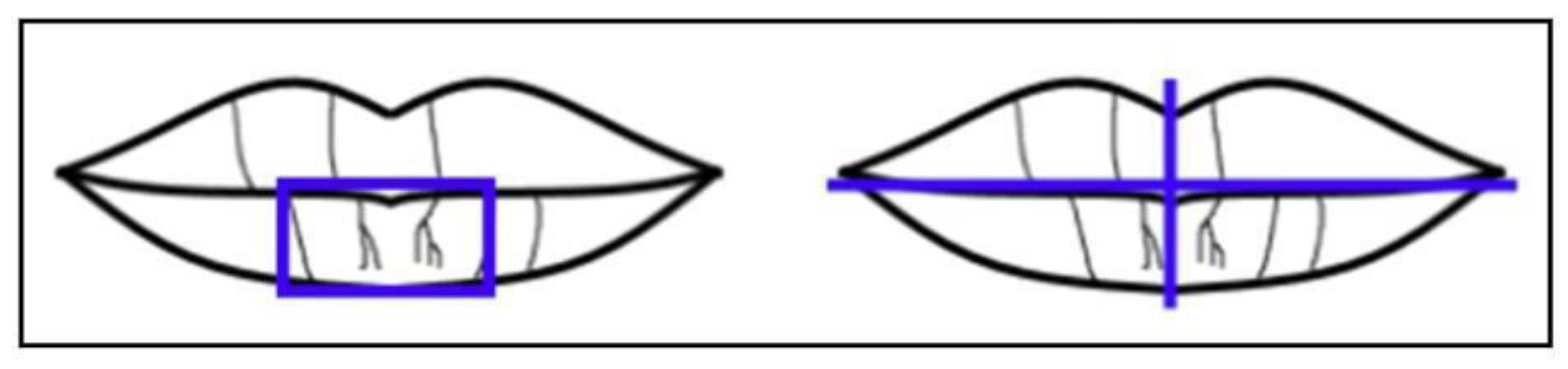 Preprints 109154 g008