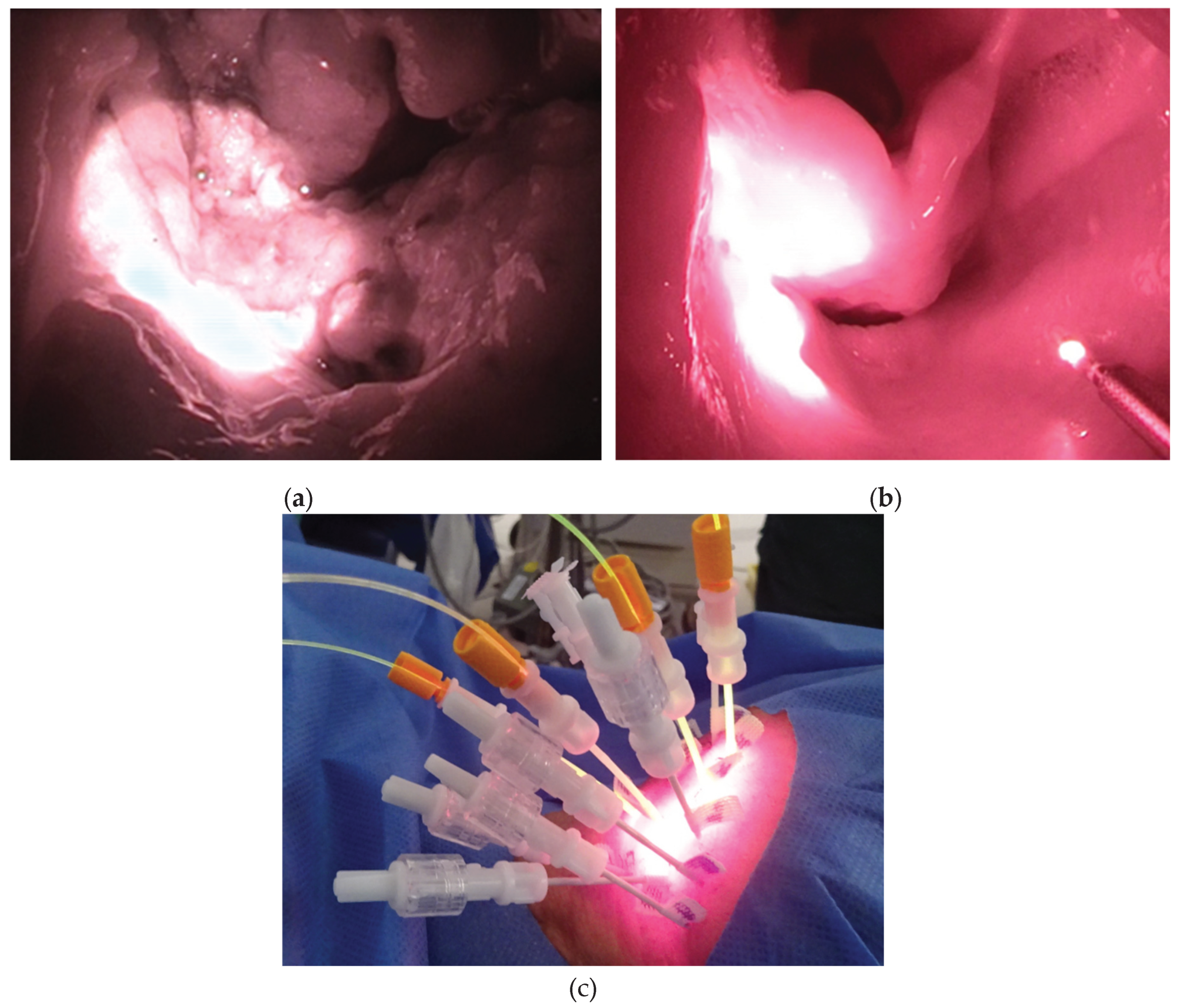 Preprints 168639 g001