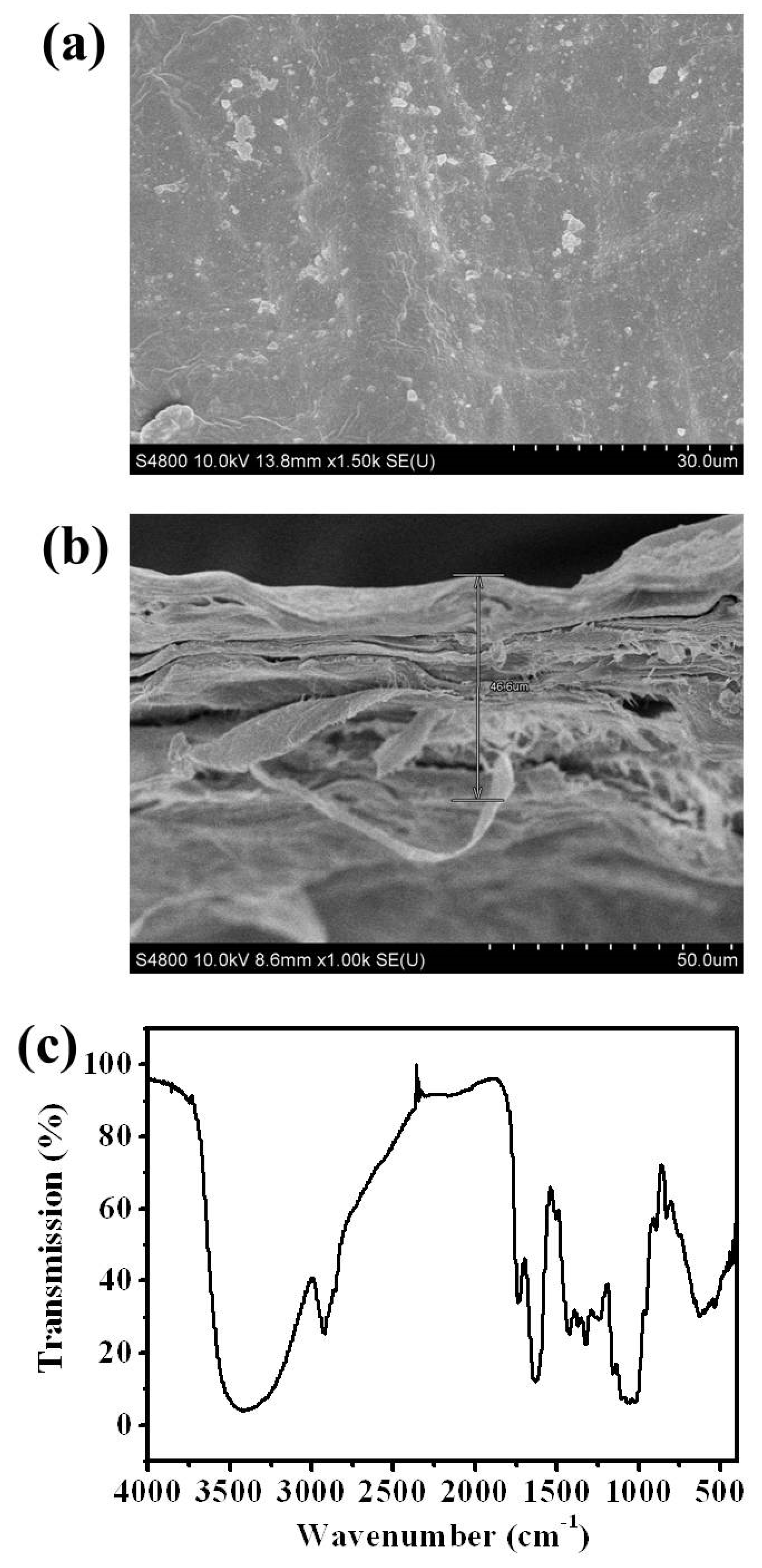 Preprints 172032 g002