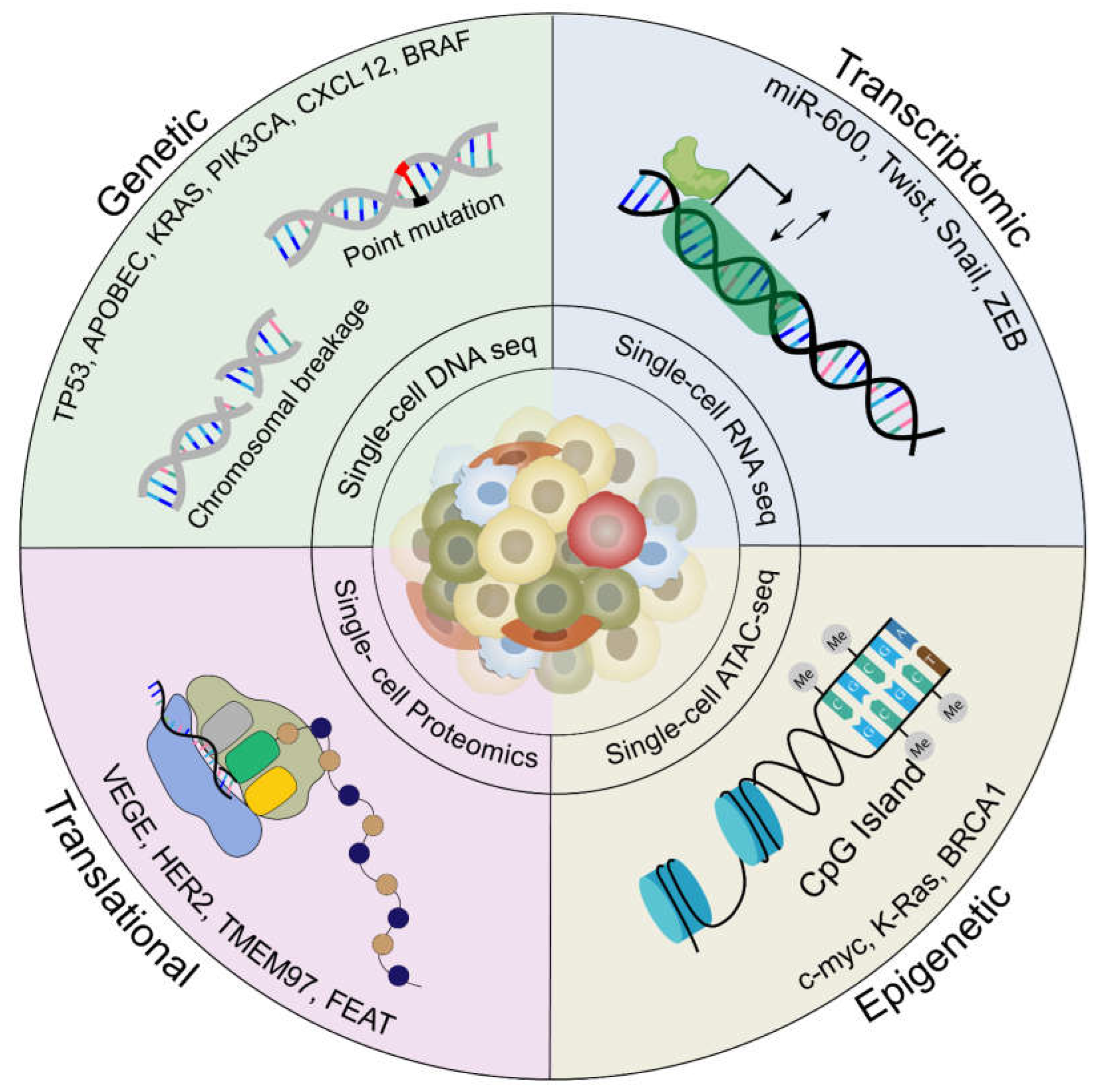 Preprints 156699 g001