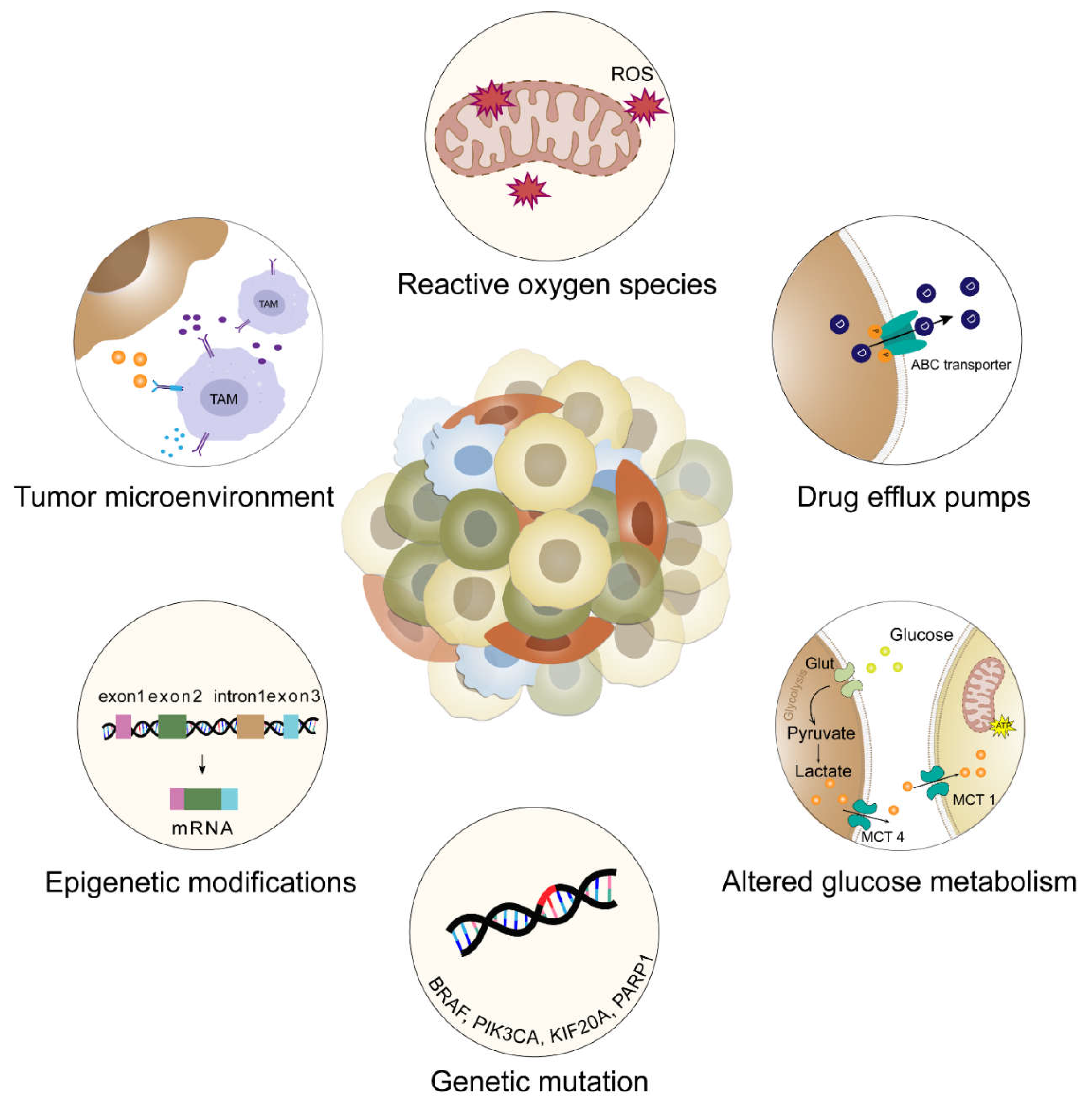 Preprints 156699 g002