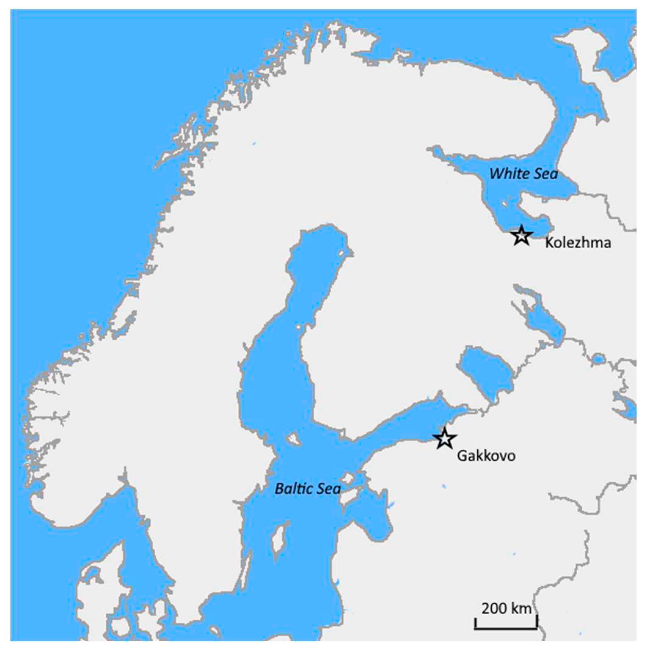 Preprints 91600 g001
