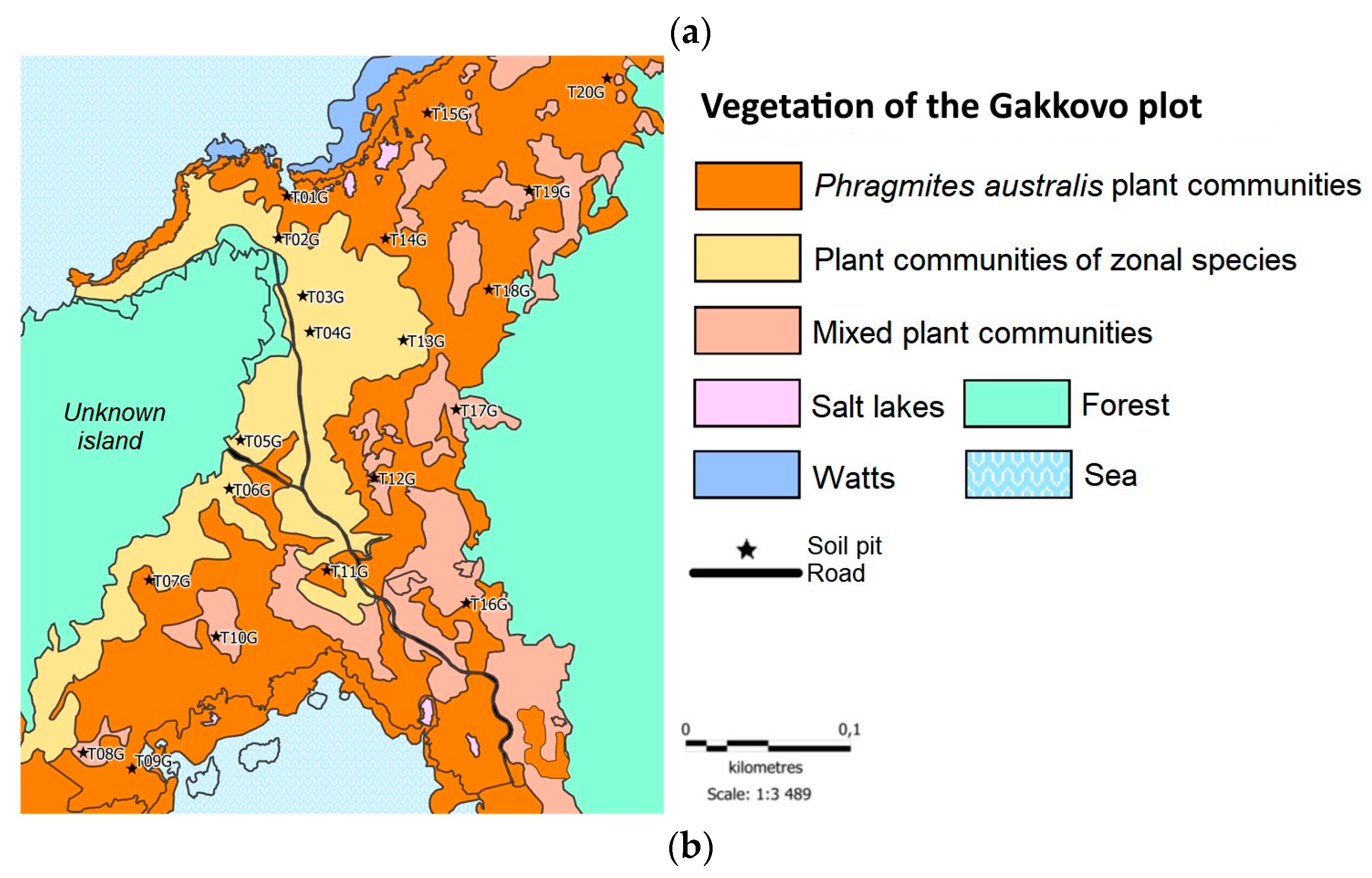 Preprints 91600 g003b