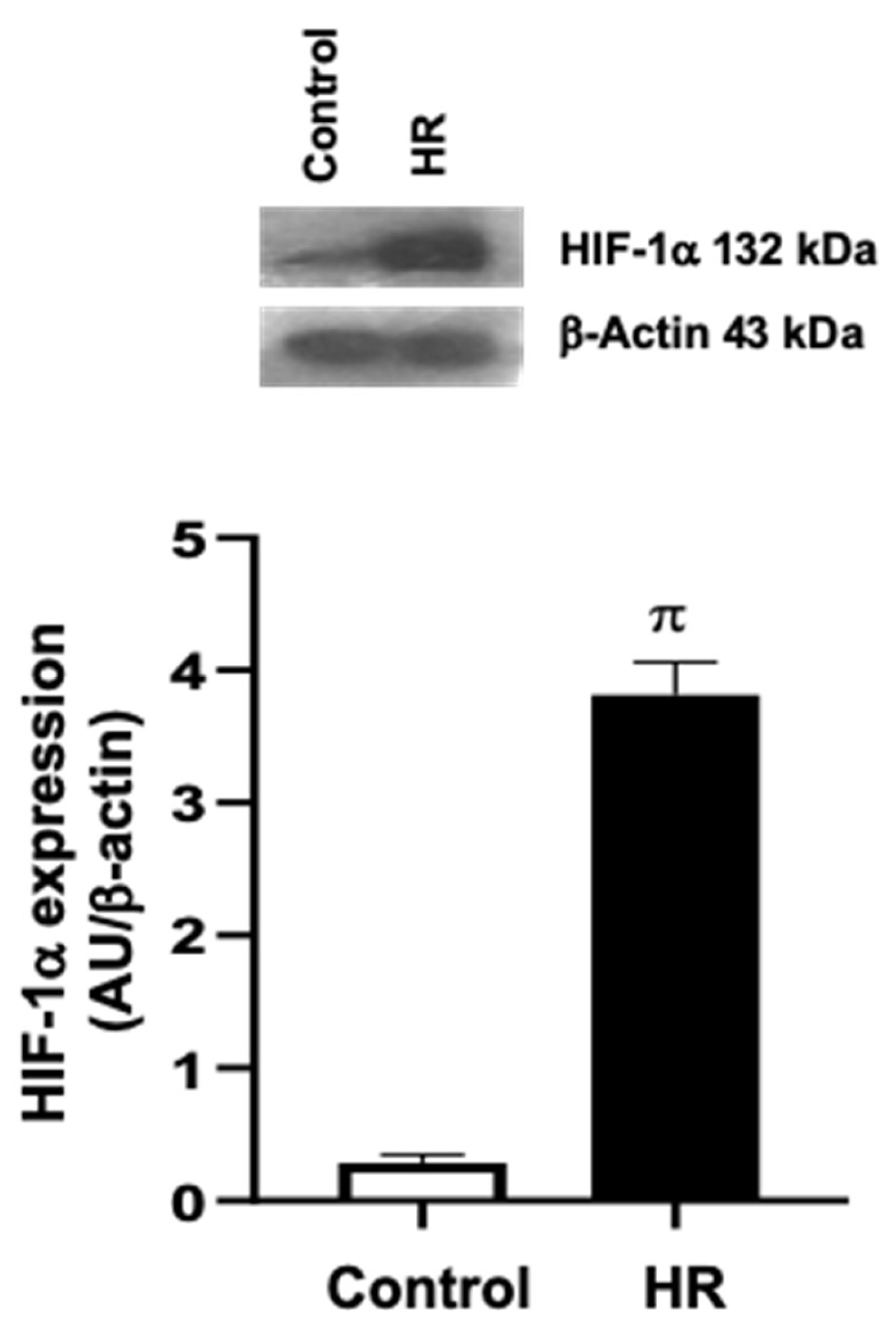 Preprints 146468 g002