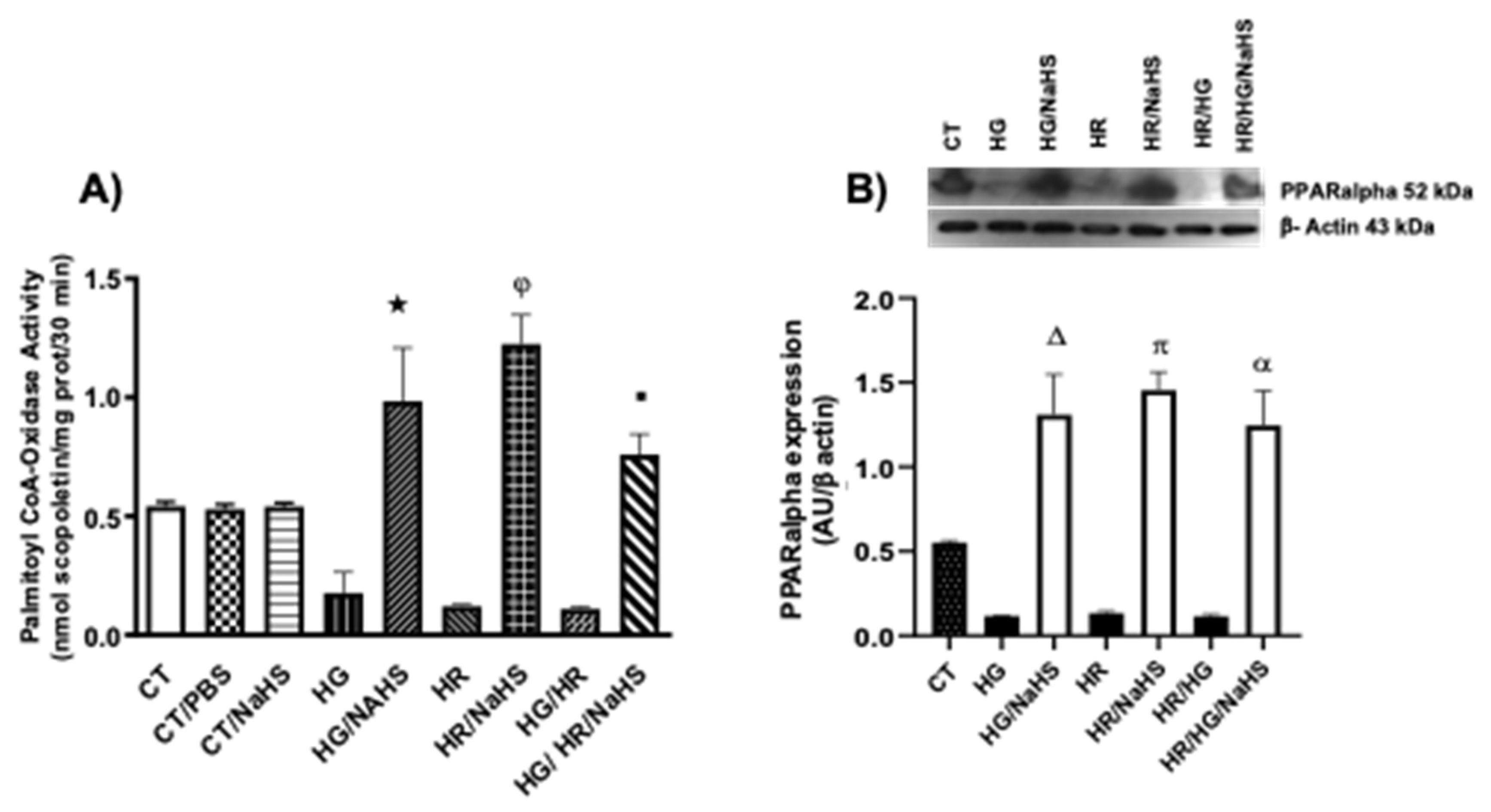 Preprints 146468 g007