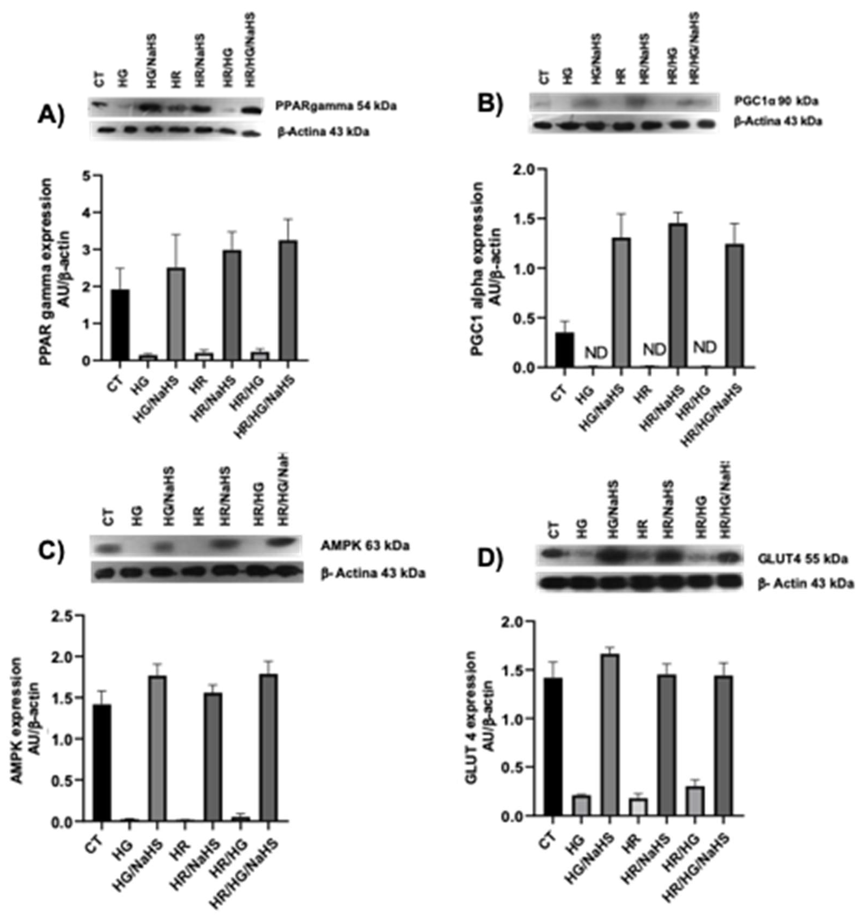 Preprints 146468 g008