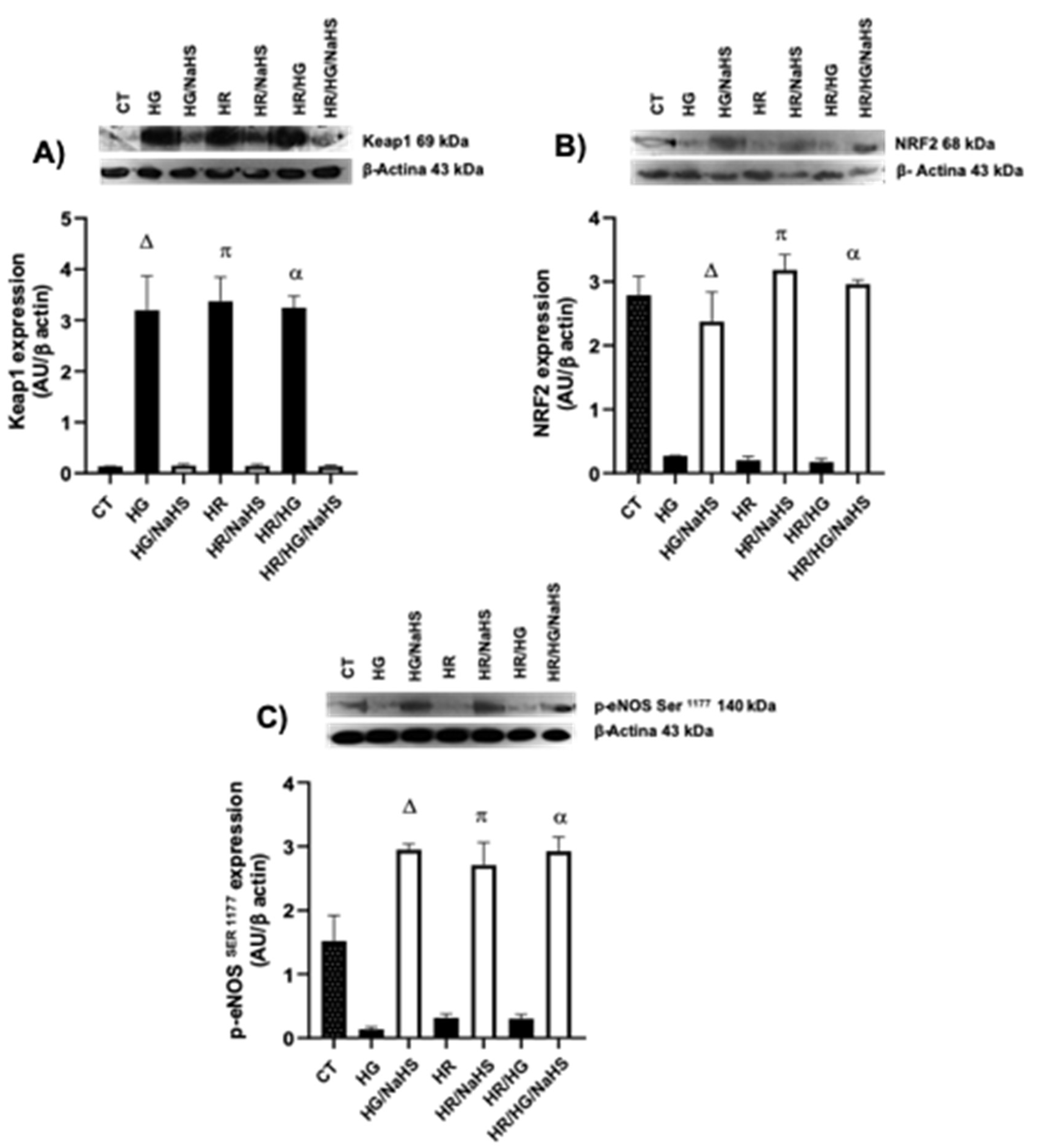 Preprints 146468 g009