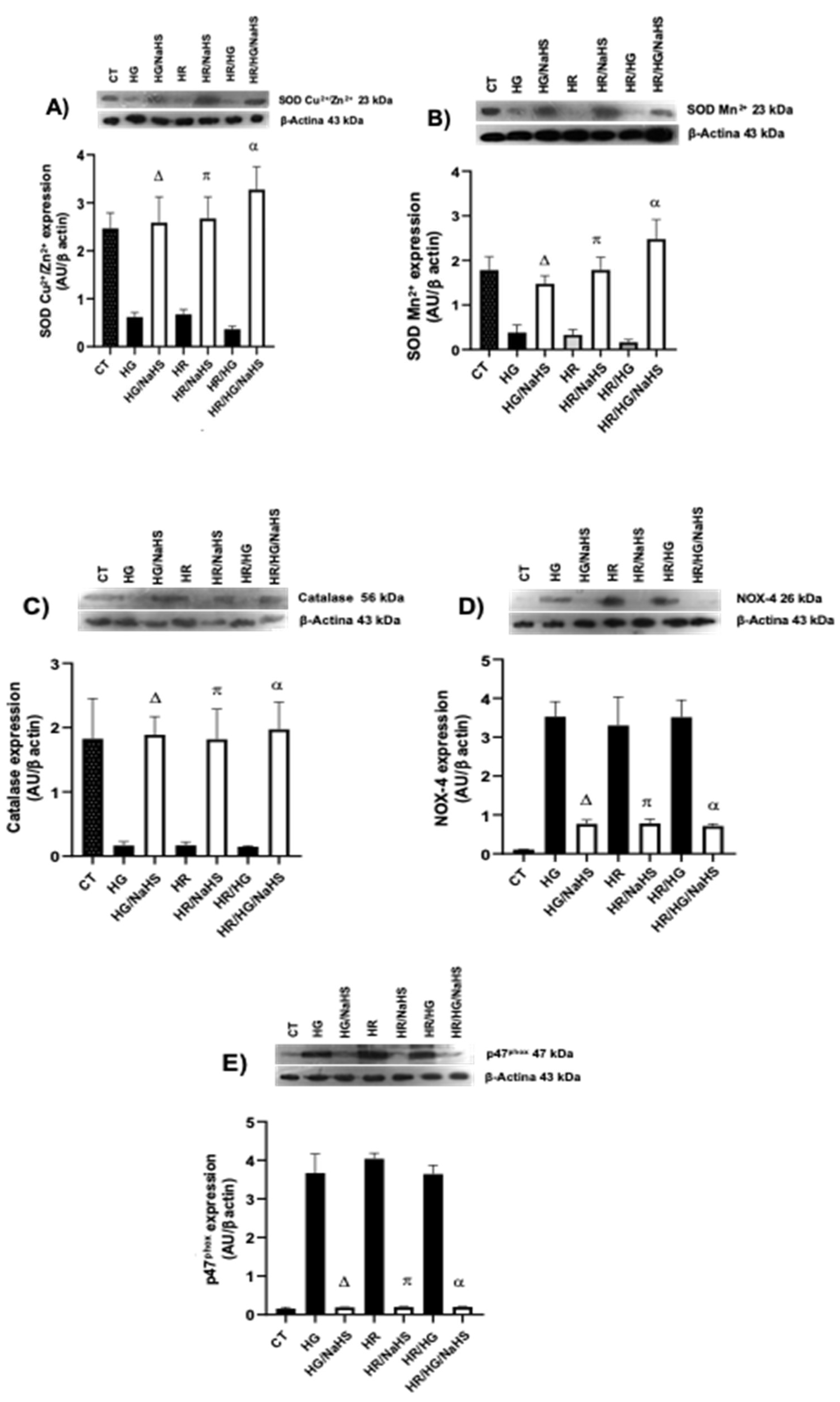 Preprints 146468 g010