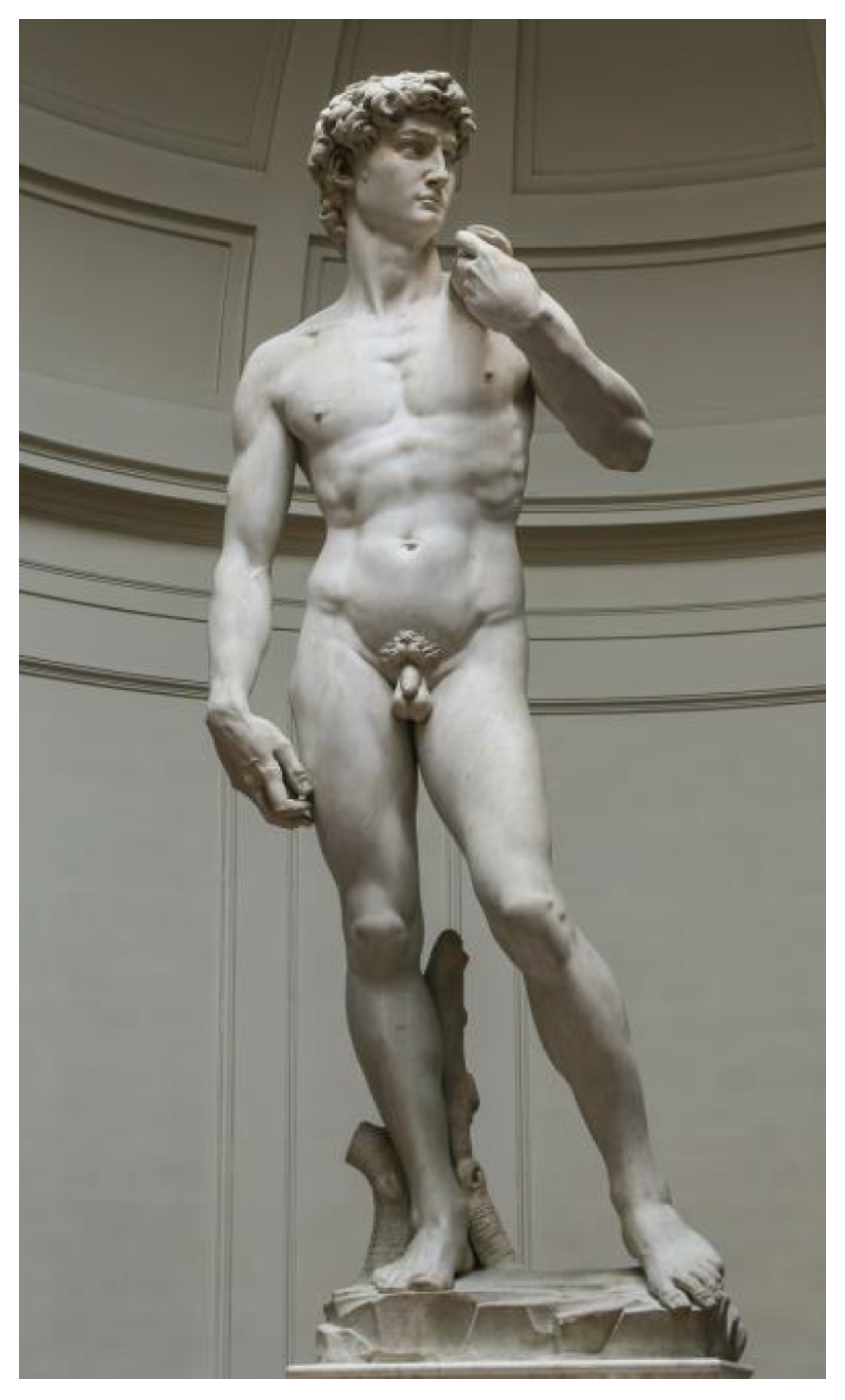 Preprints 164559 g008