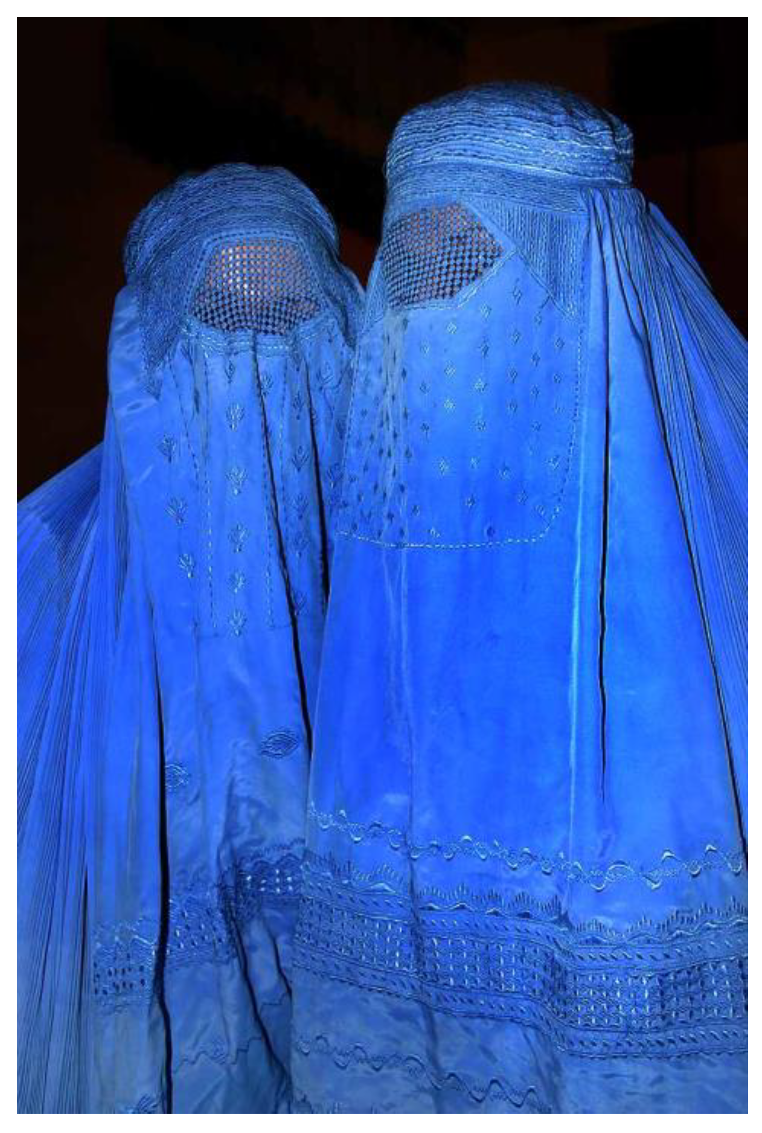 Preprints 164559 g029