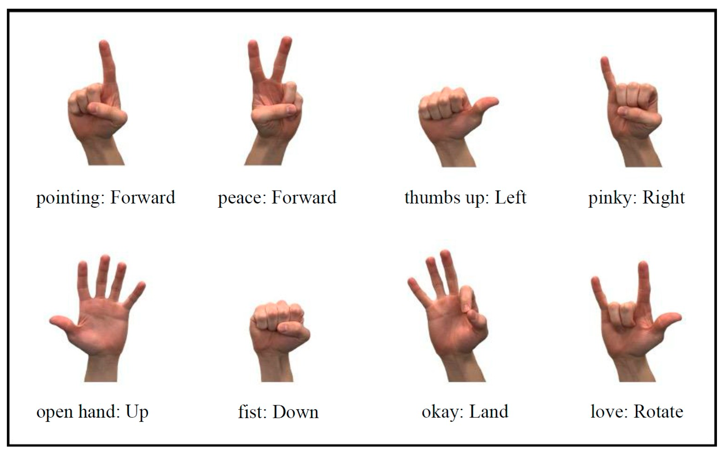 Preprints 159958 g005