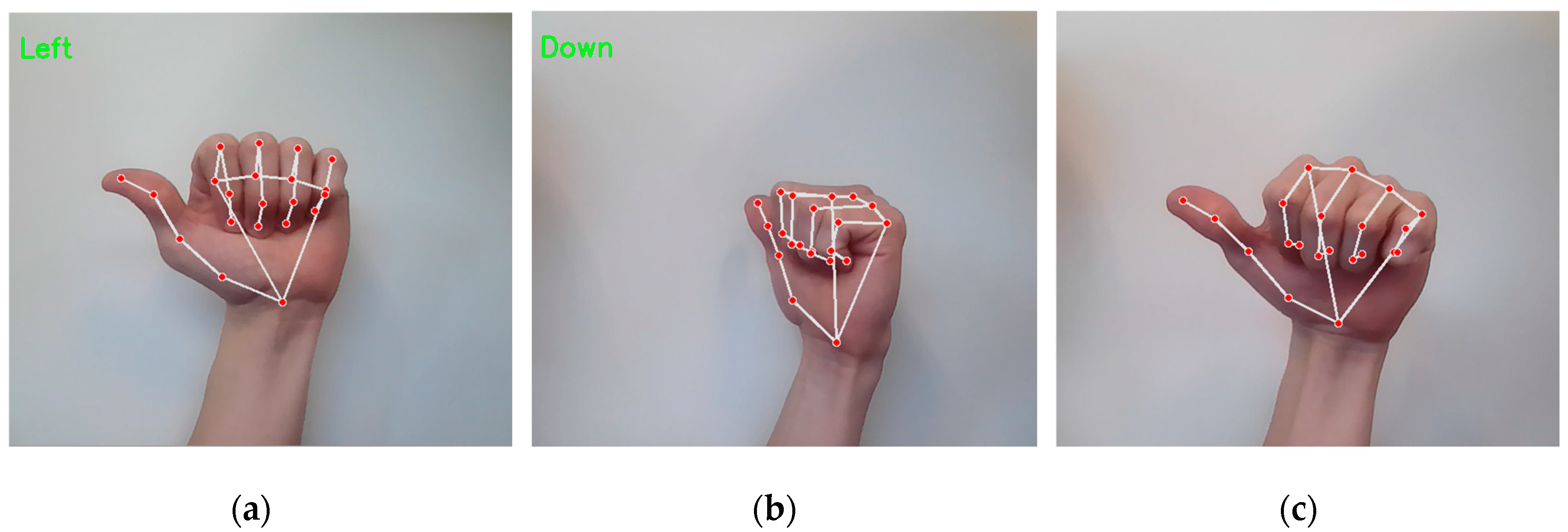 Preprints 159958 g008