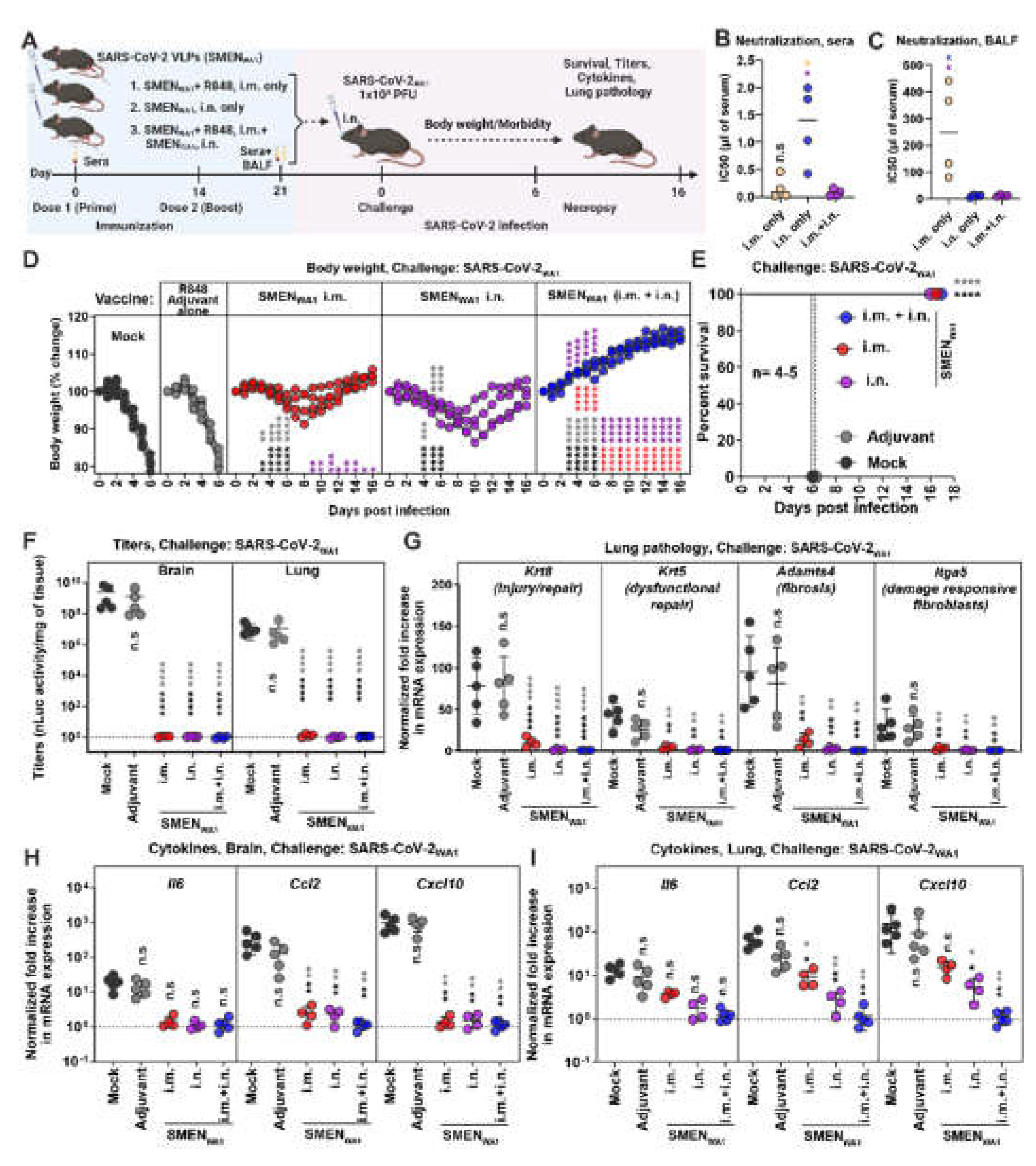 Preprints 109137 g001