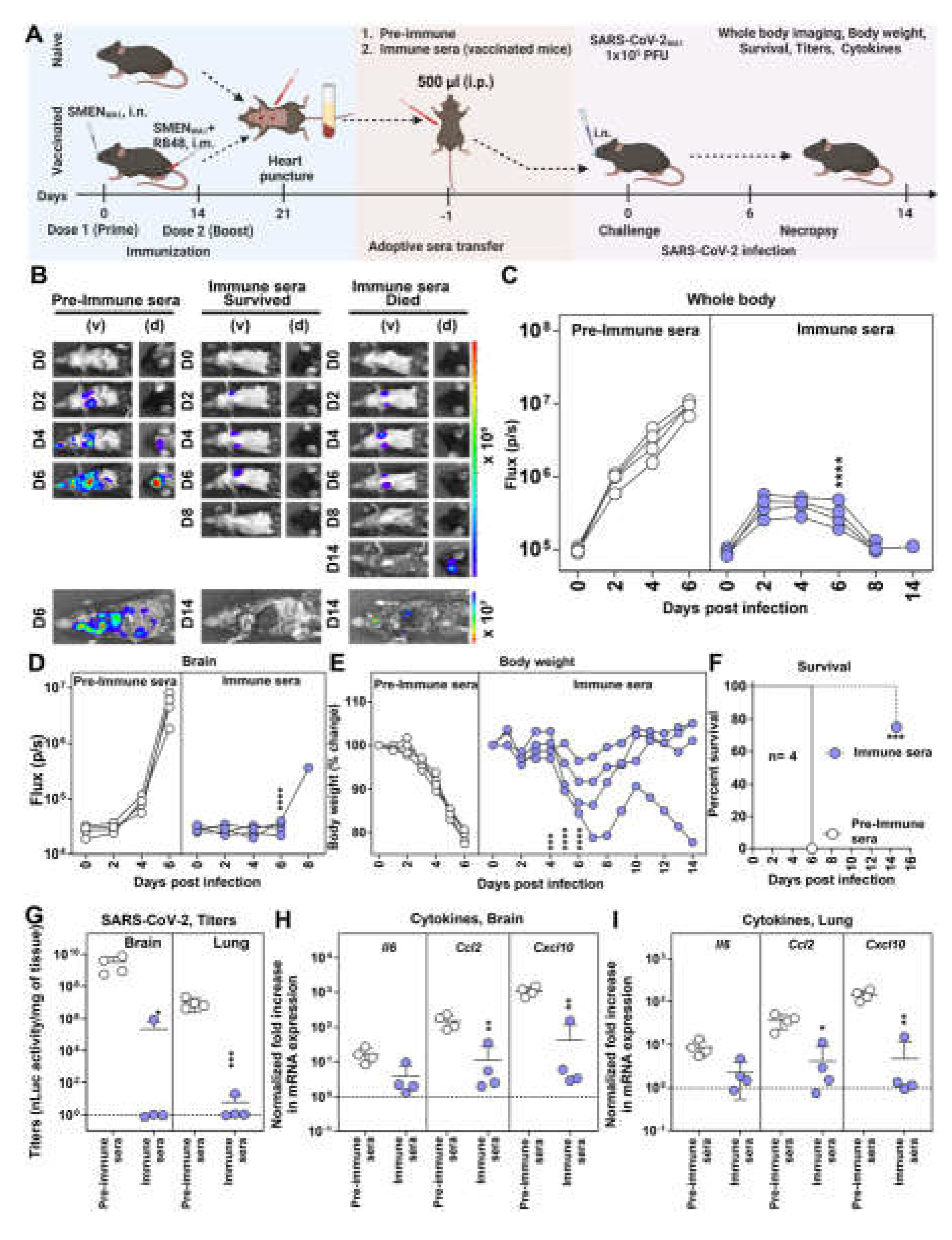 Preprints 109137 g002