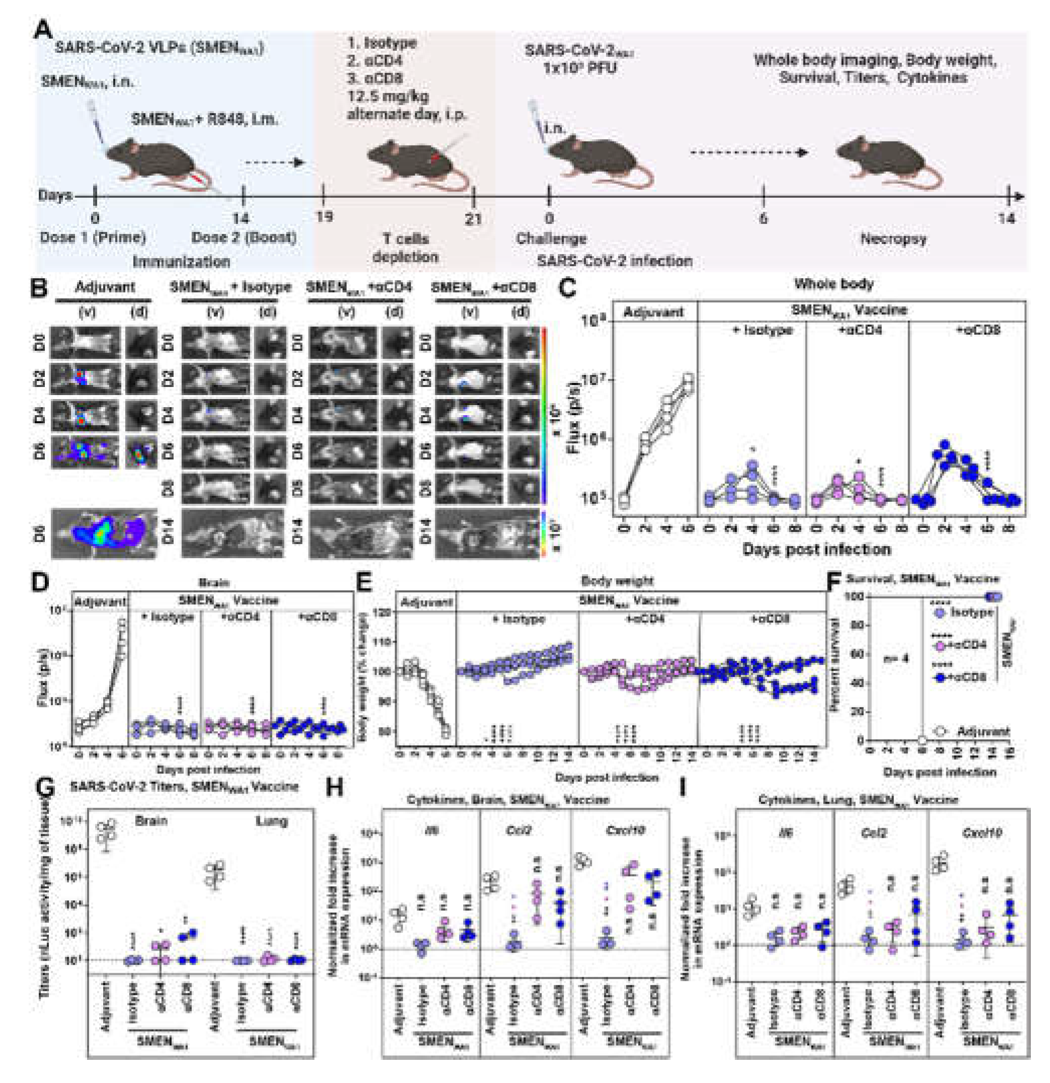 Preprints 109137 g003
