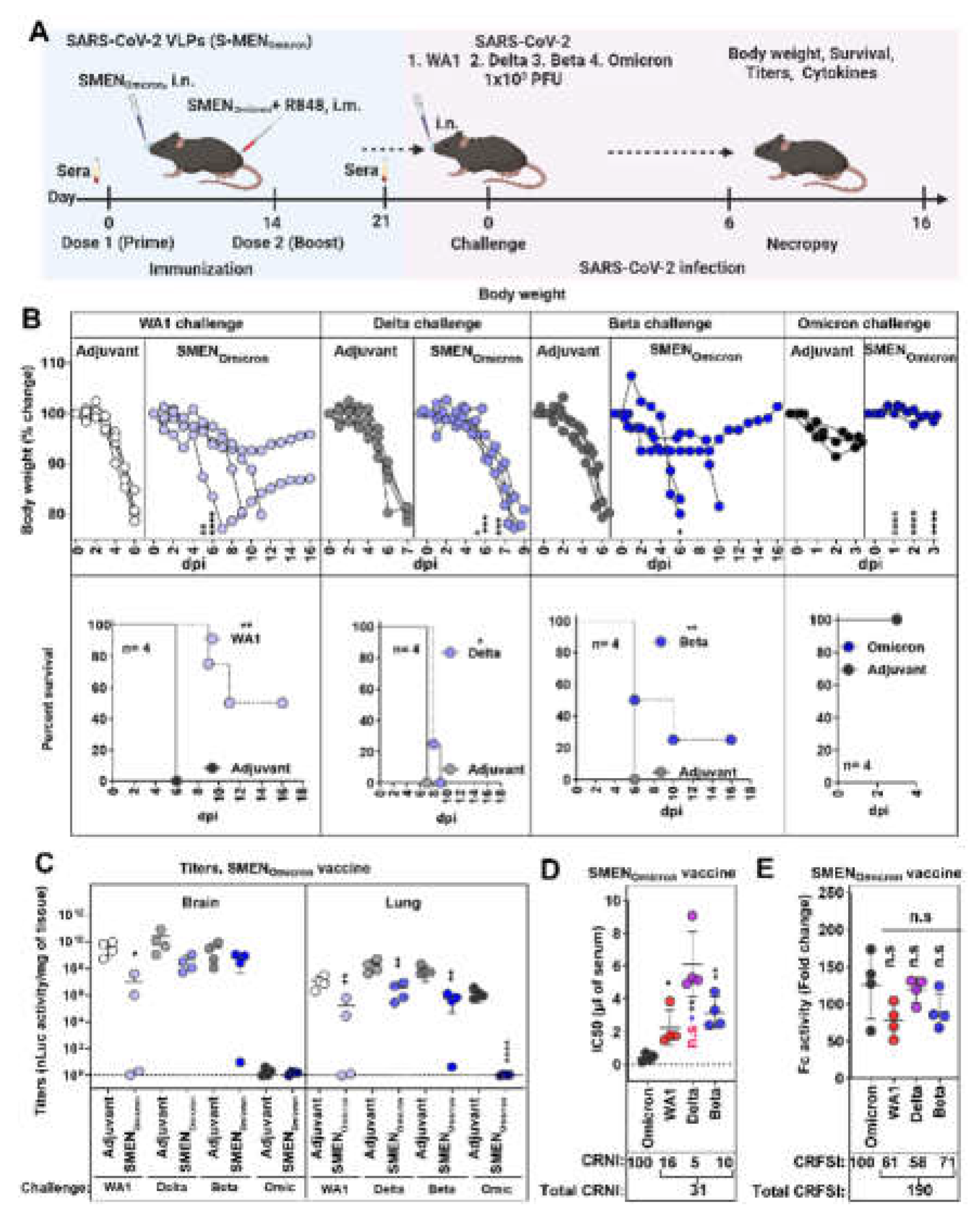 Preprints 109137 g005
