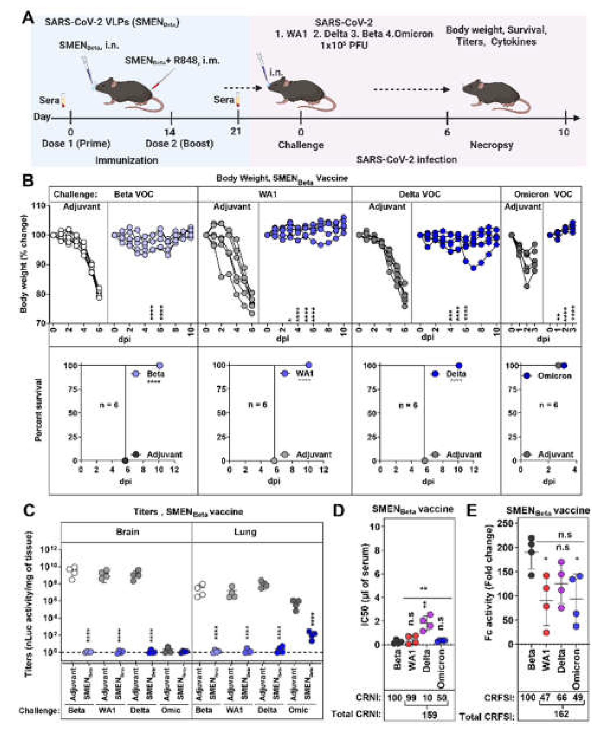 Preprints 109137 g006