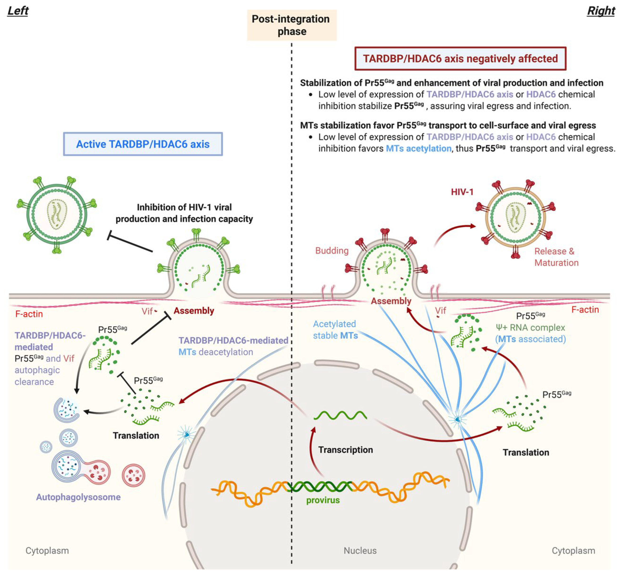 Preprints 181792 g001