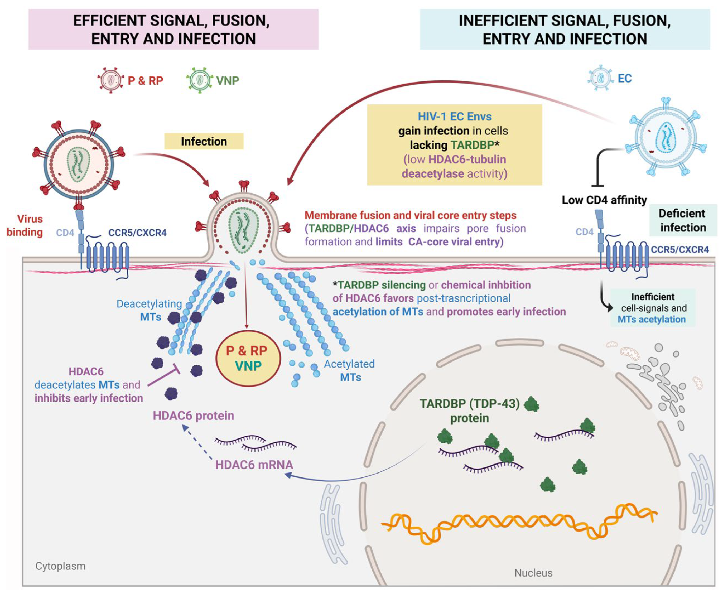 Preprints 181792 g002