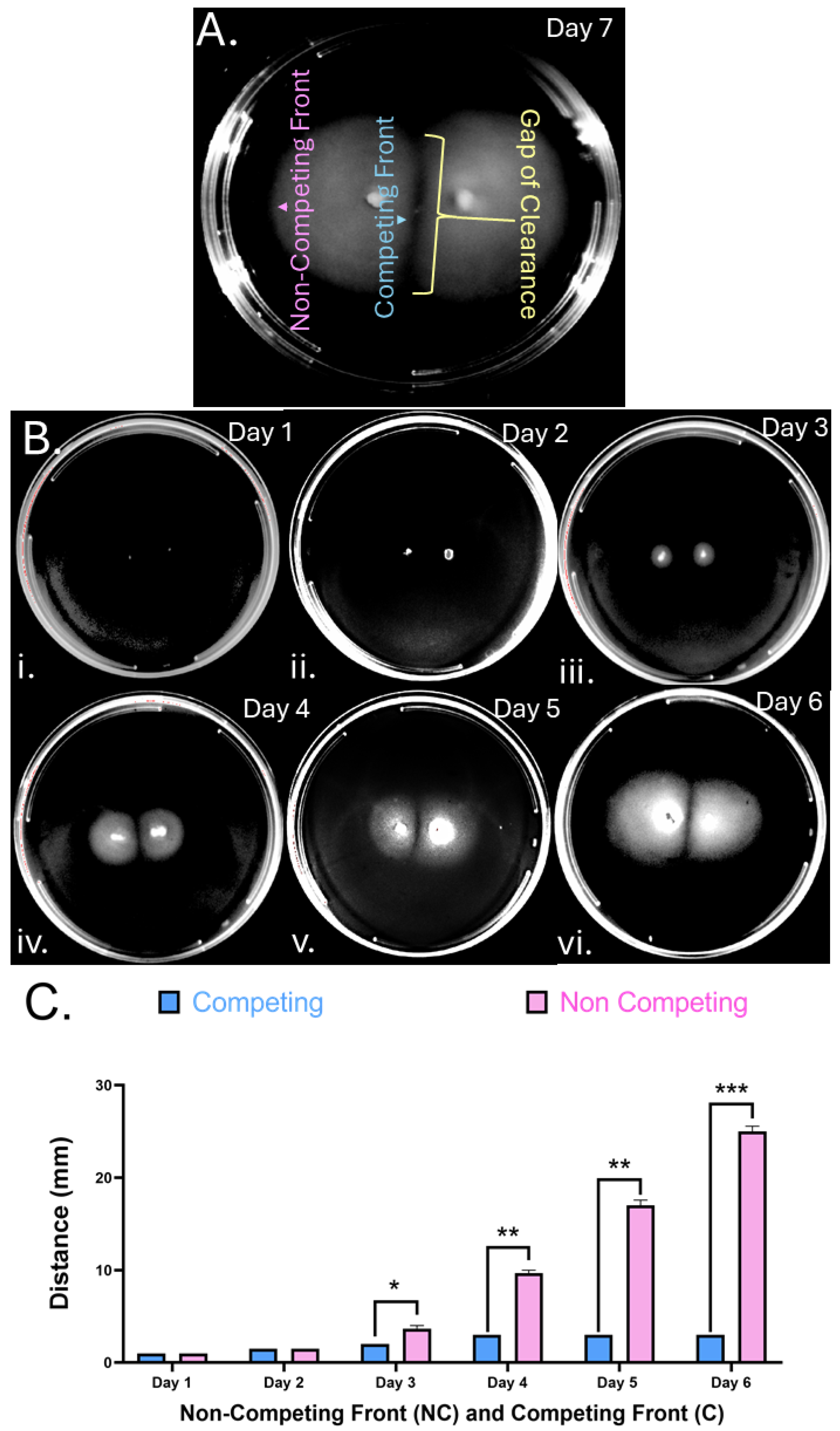Preprints 154544 g001