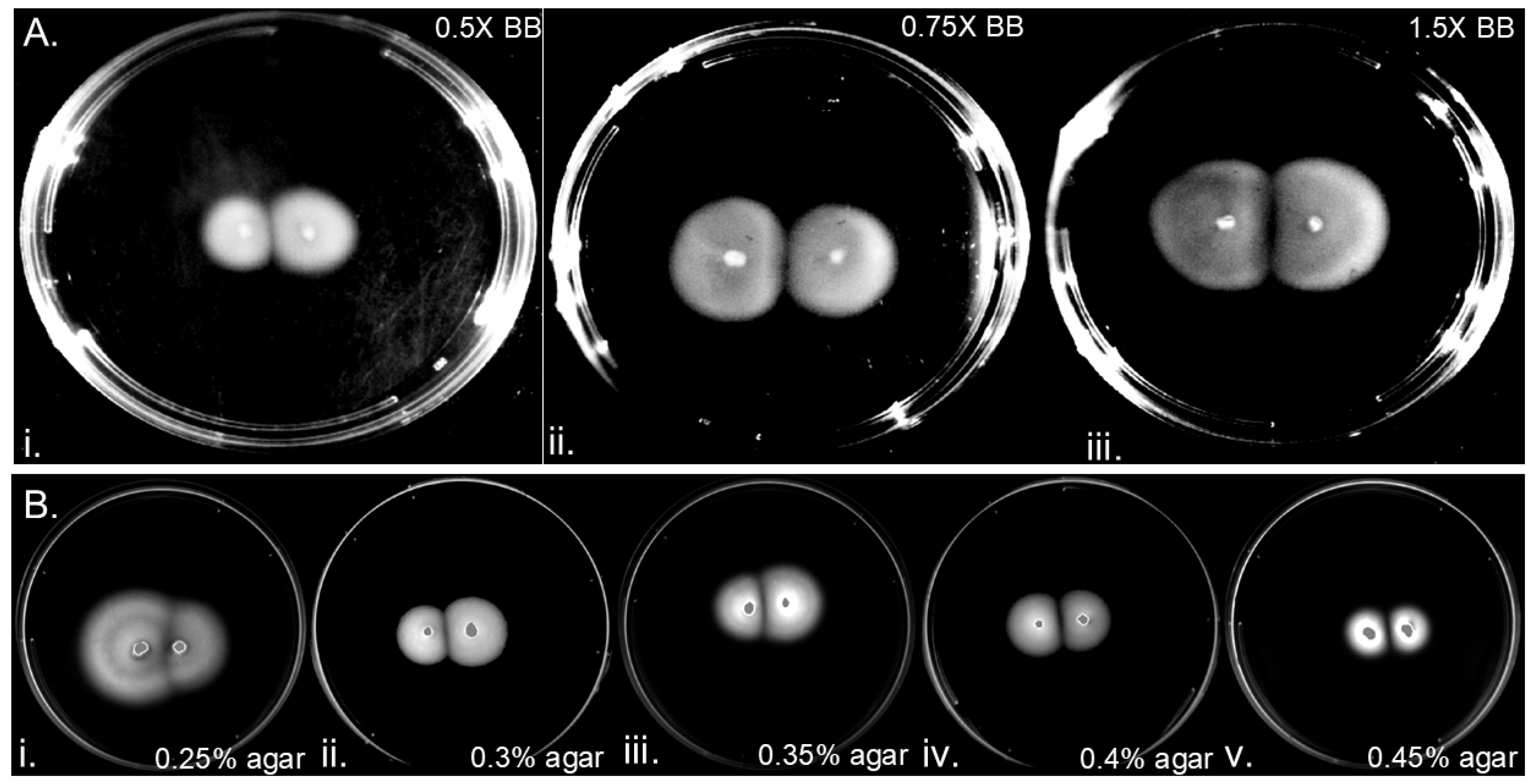Preprints 154544 g003