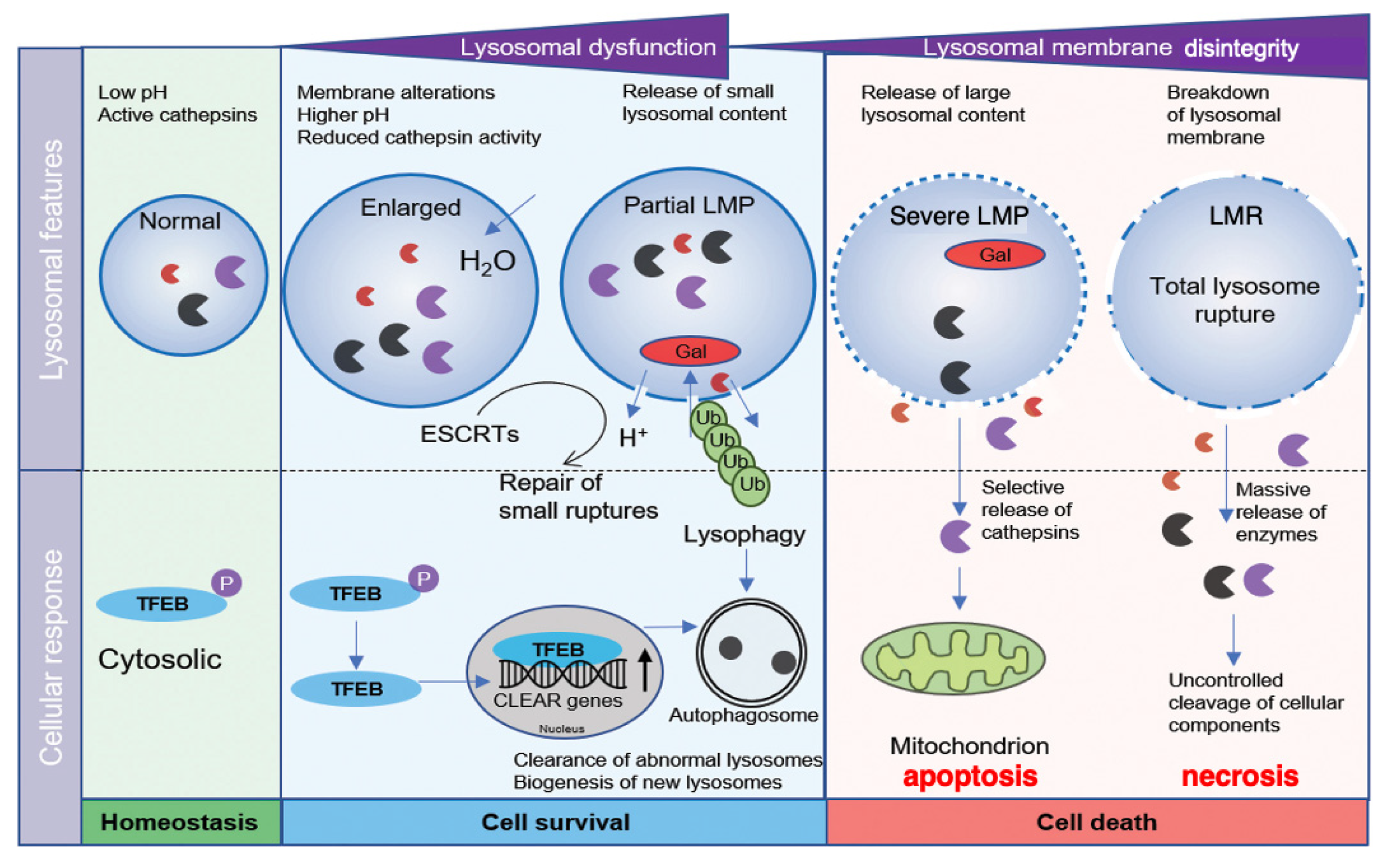 Preprints 160225 g001
