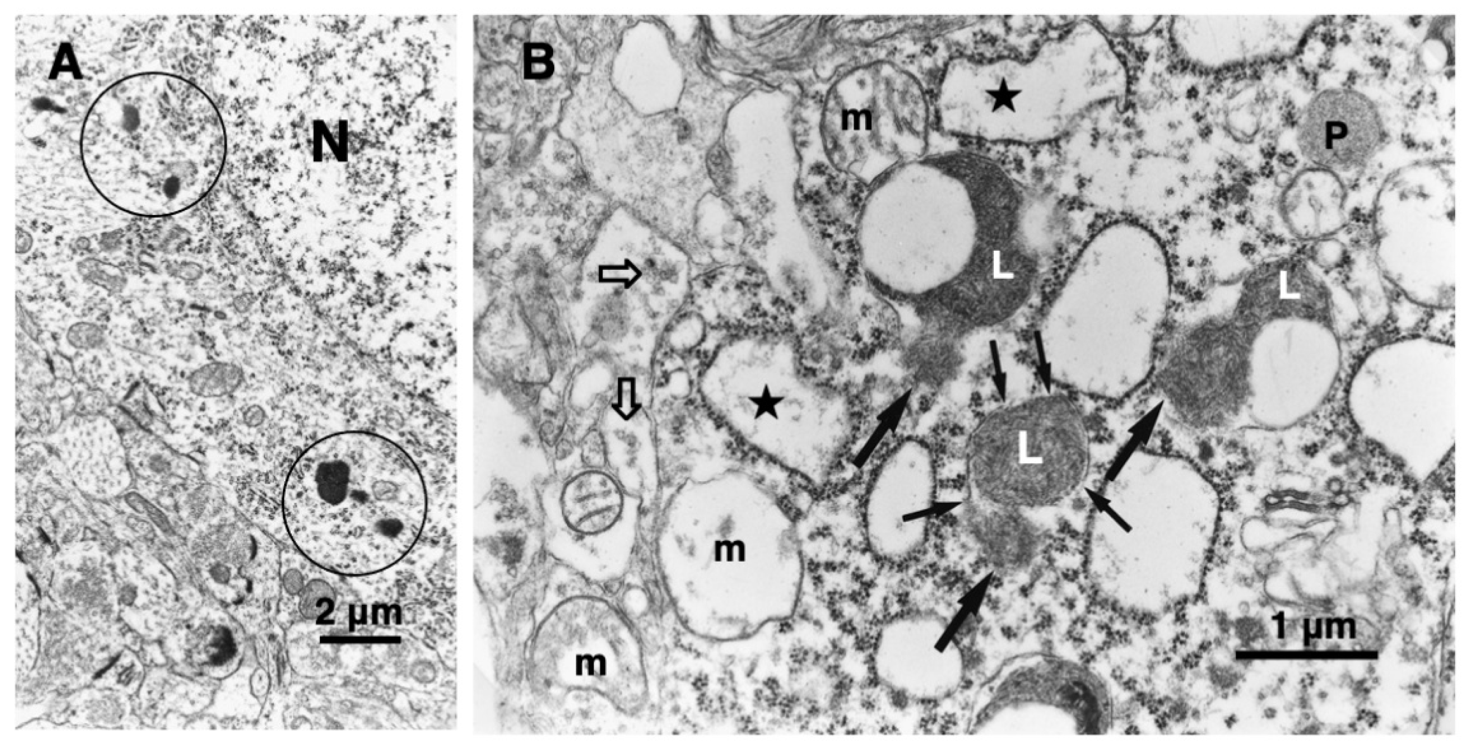 Preprints 160225 g003