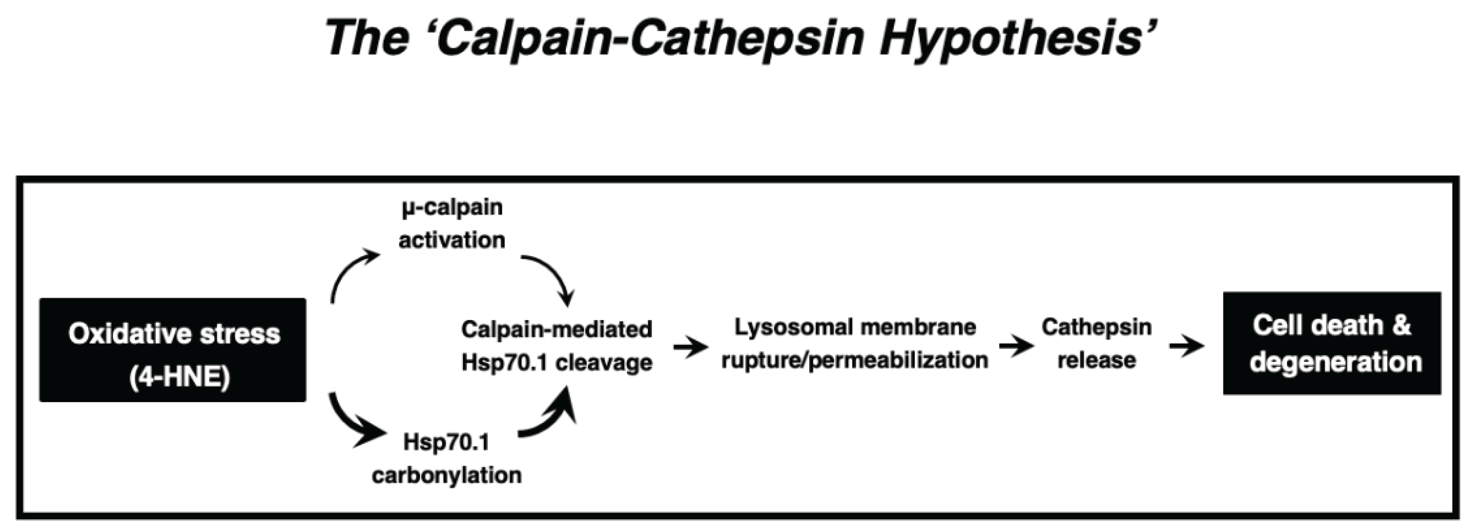 Preprints 160225 g008