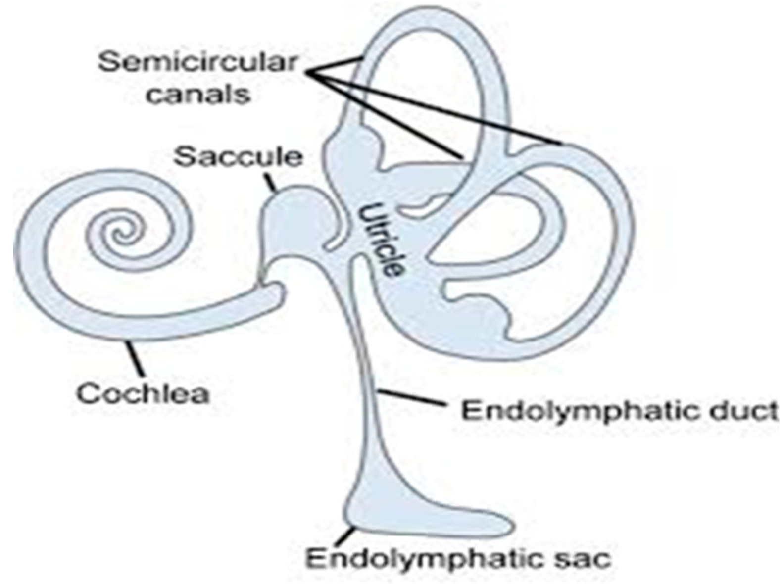 Preprints 86070 g002