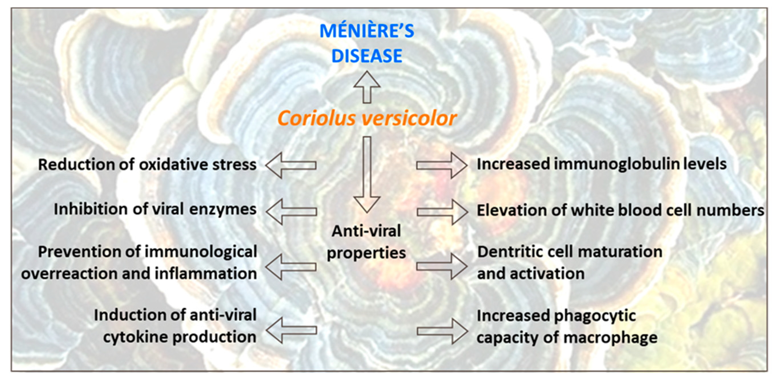 Preprints 86070 g003