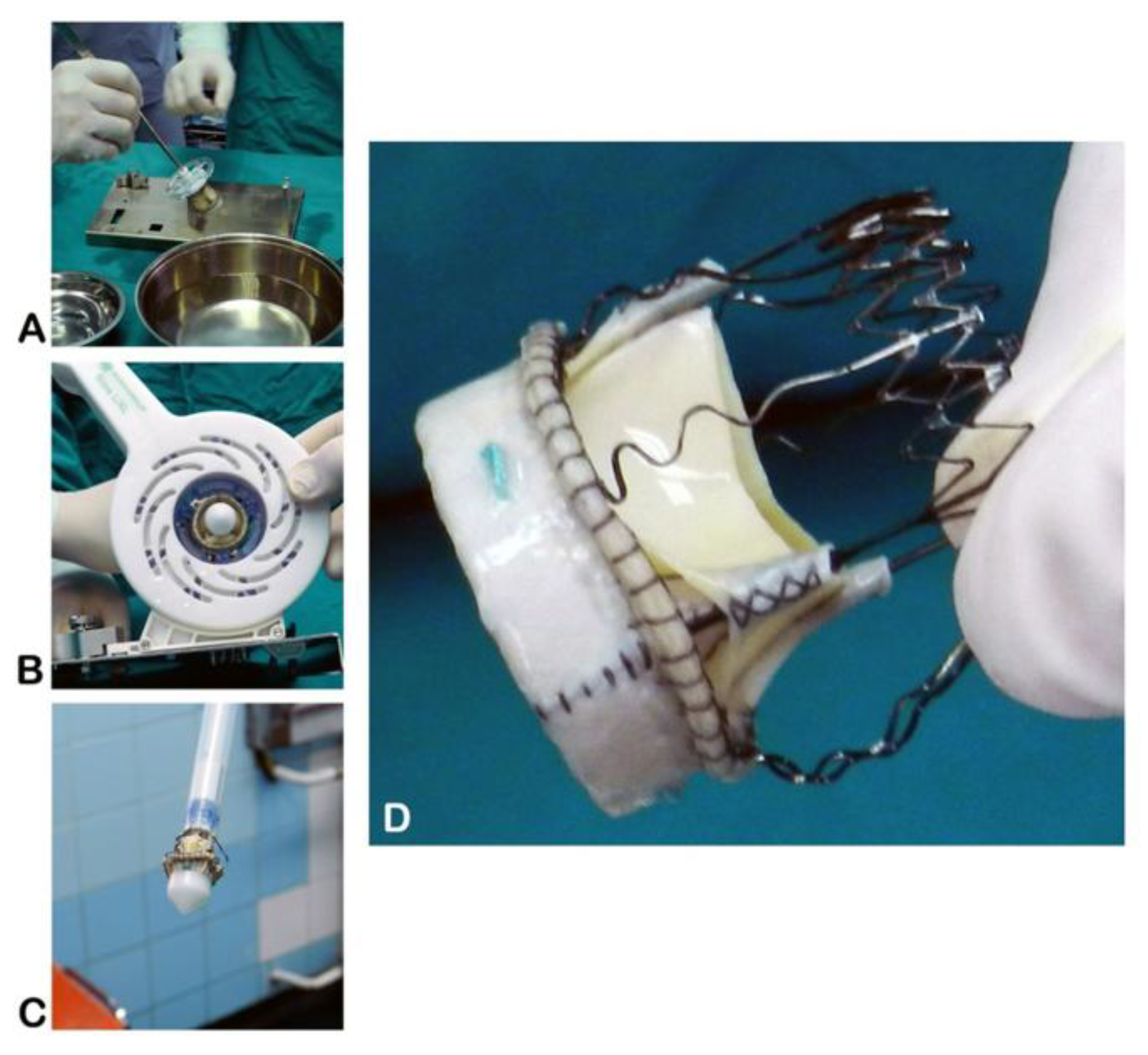 Preprints 167195 g001