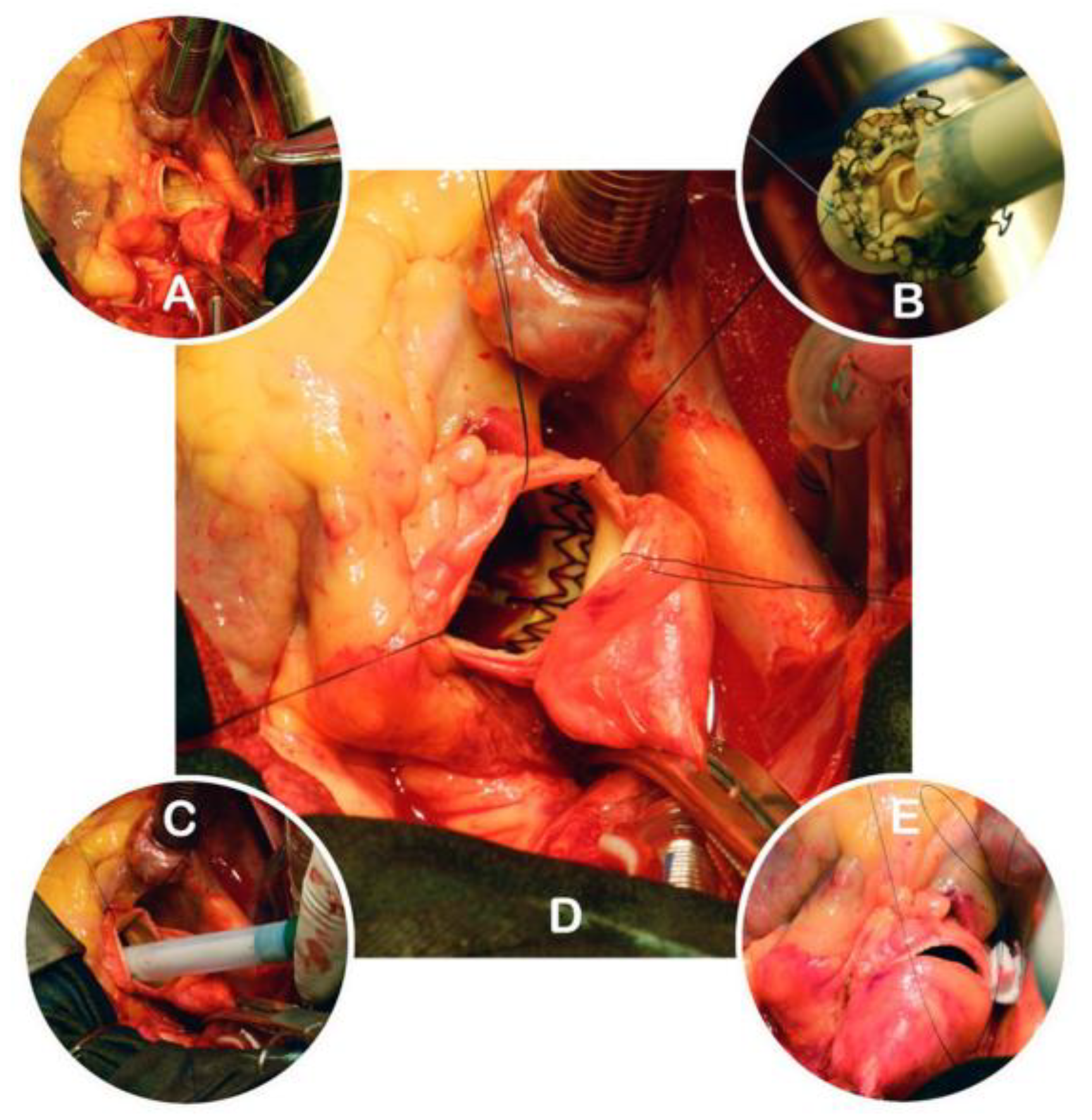 Preprints 167195 g002