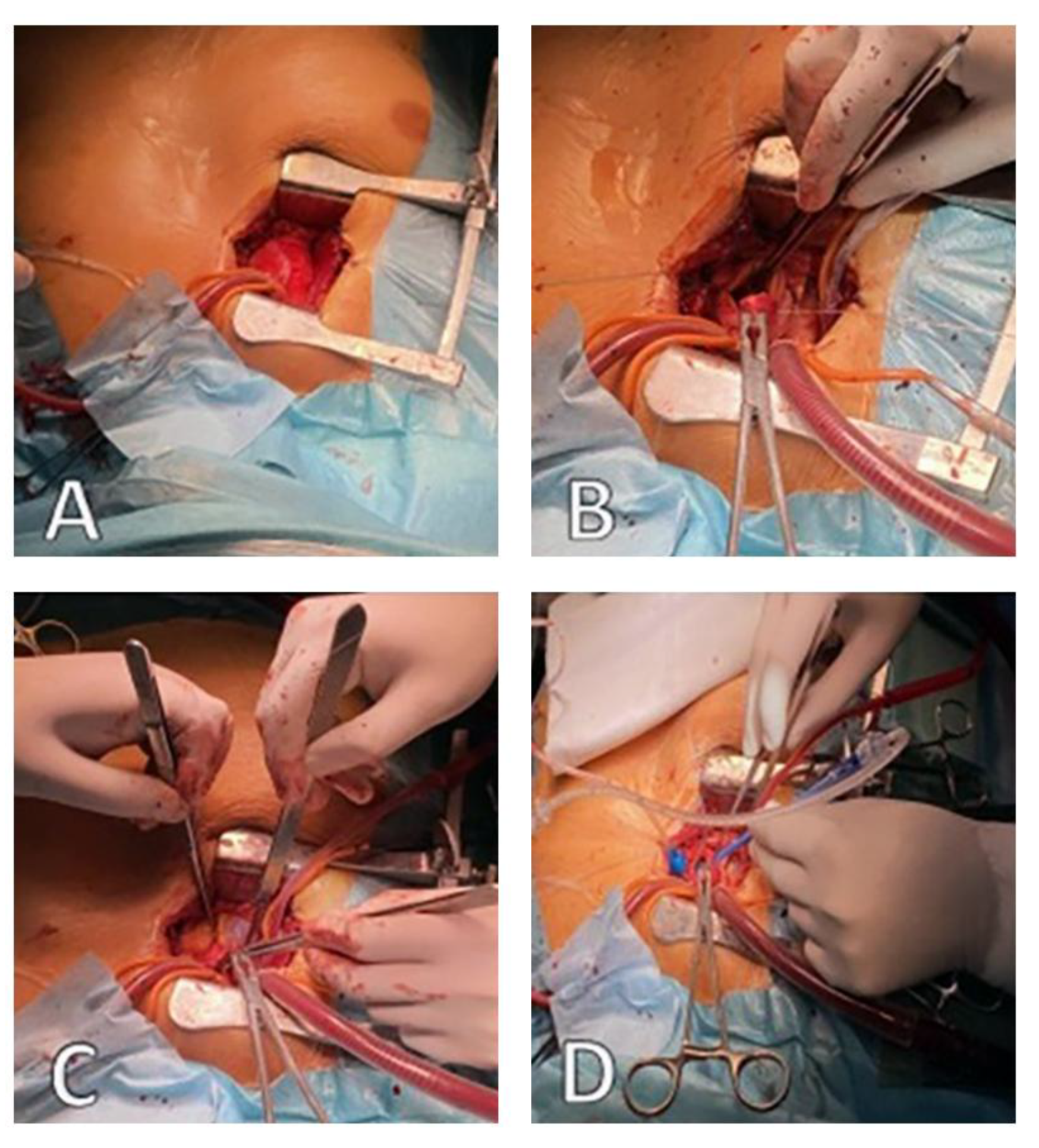 Preprints 167195 g003