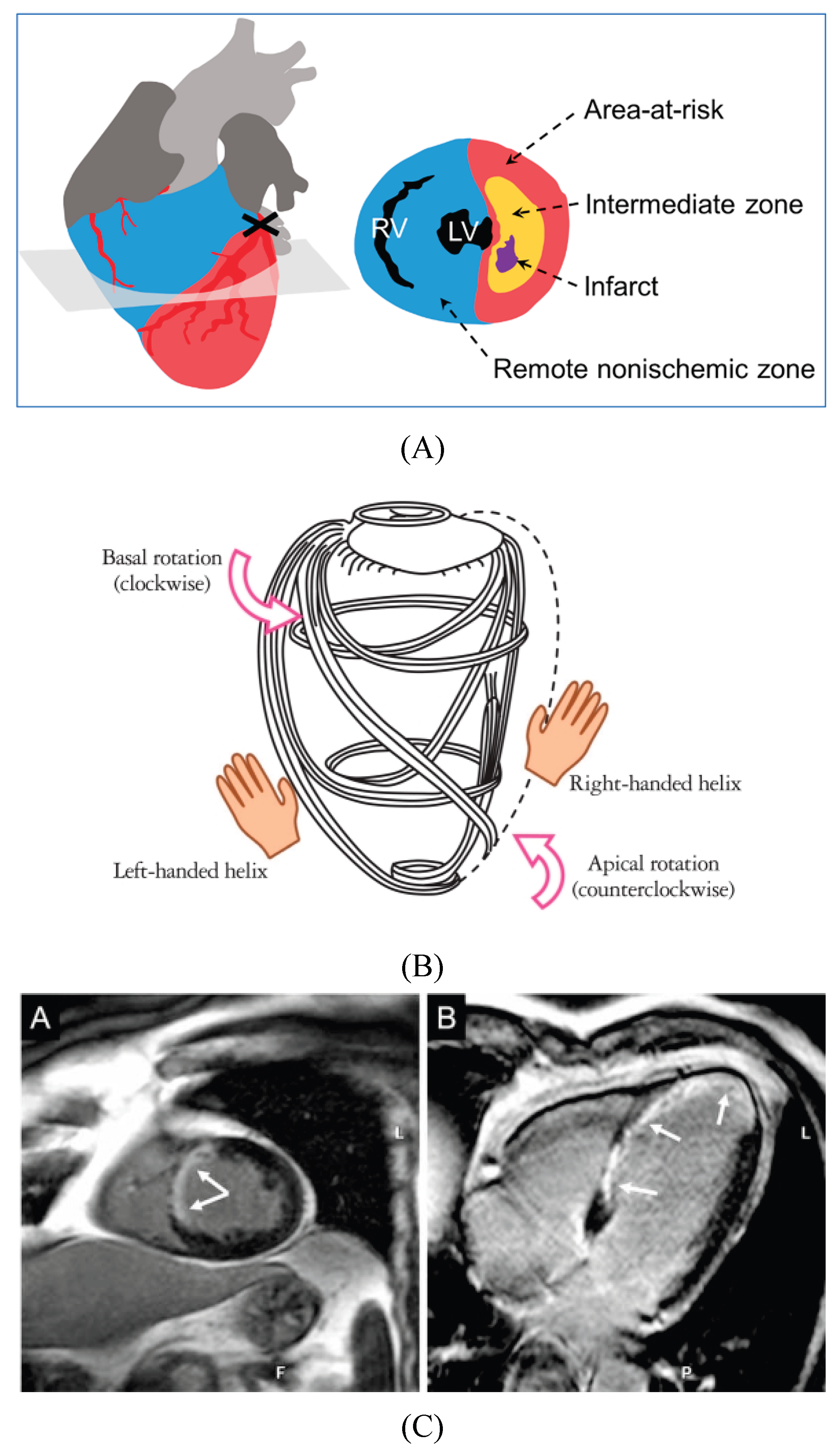 Preprints 199824 g001