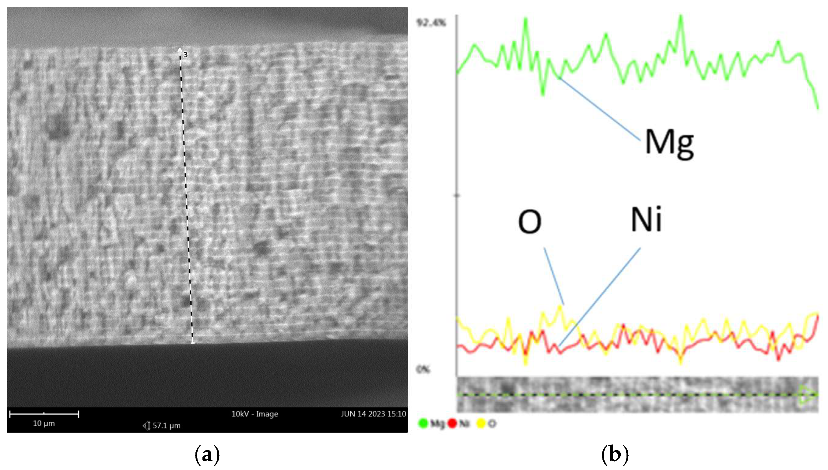 Preprints 151245 g002