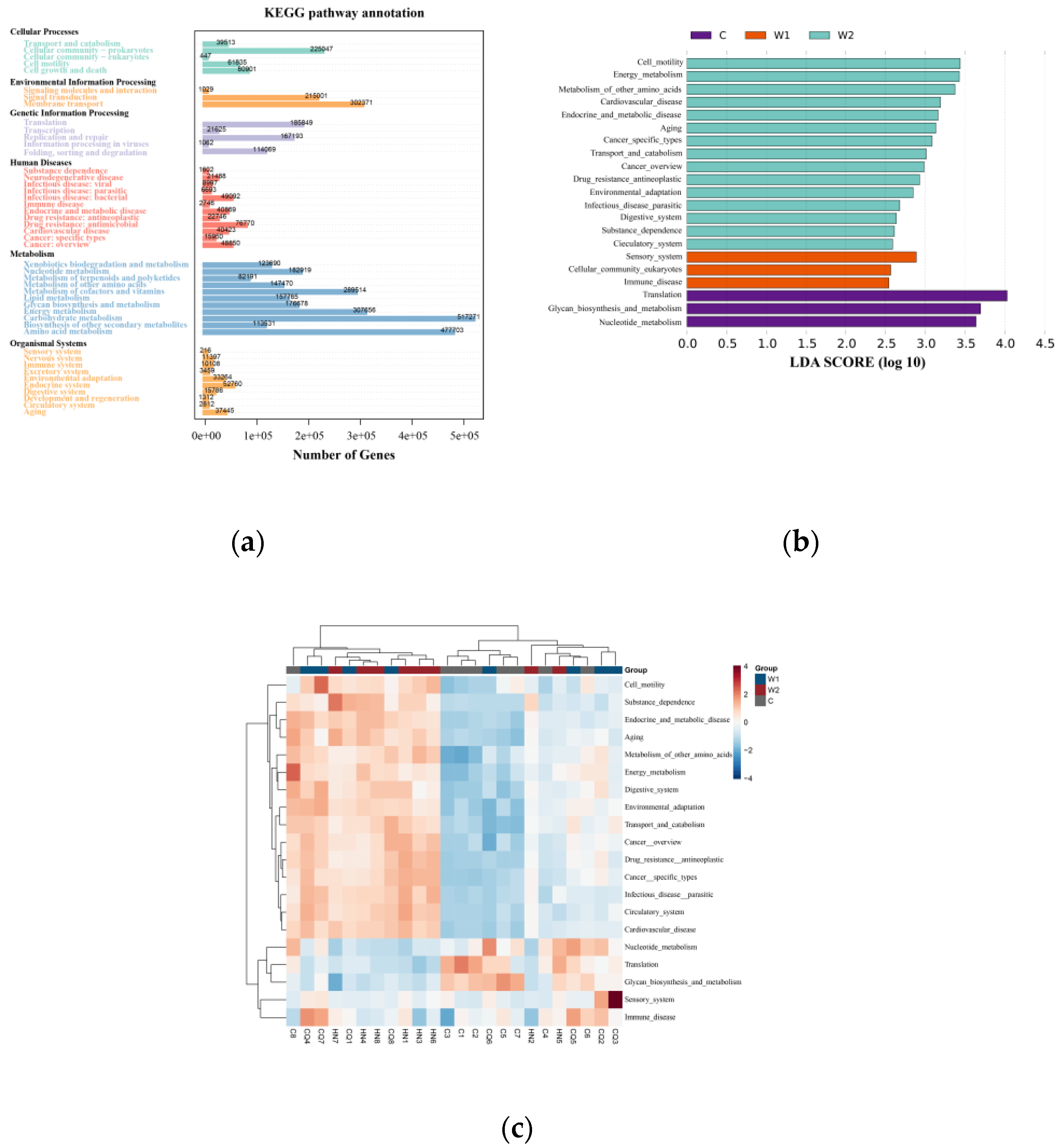 Preprints 162331 g004