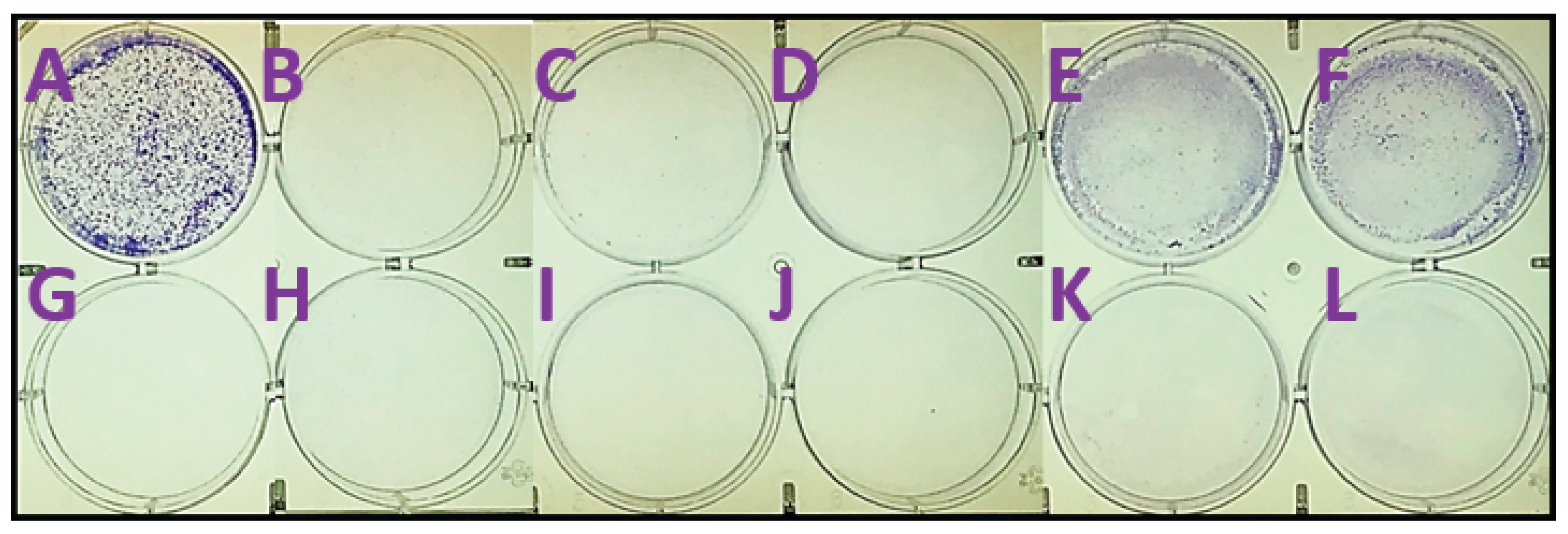 Preprints 160493 g003