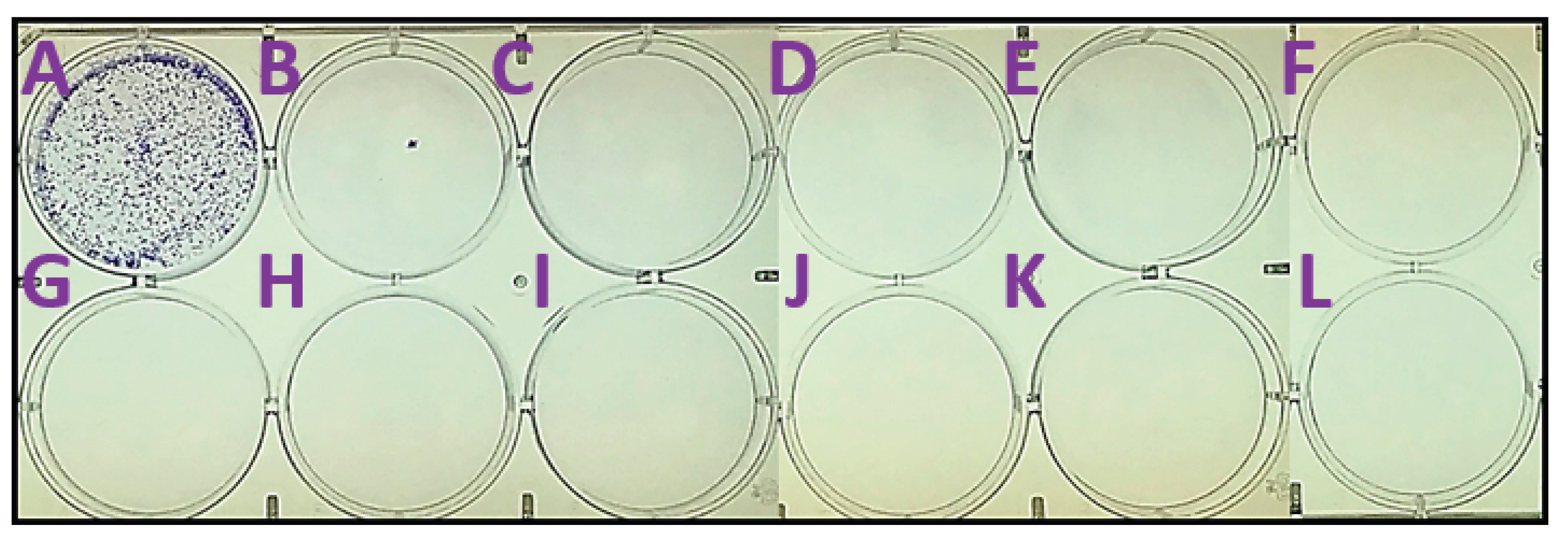 Preprints 160493 g004