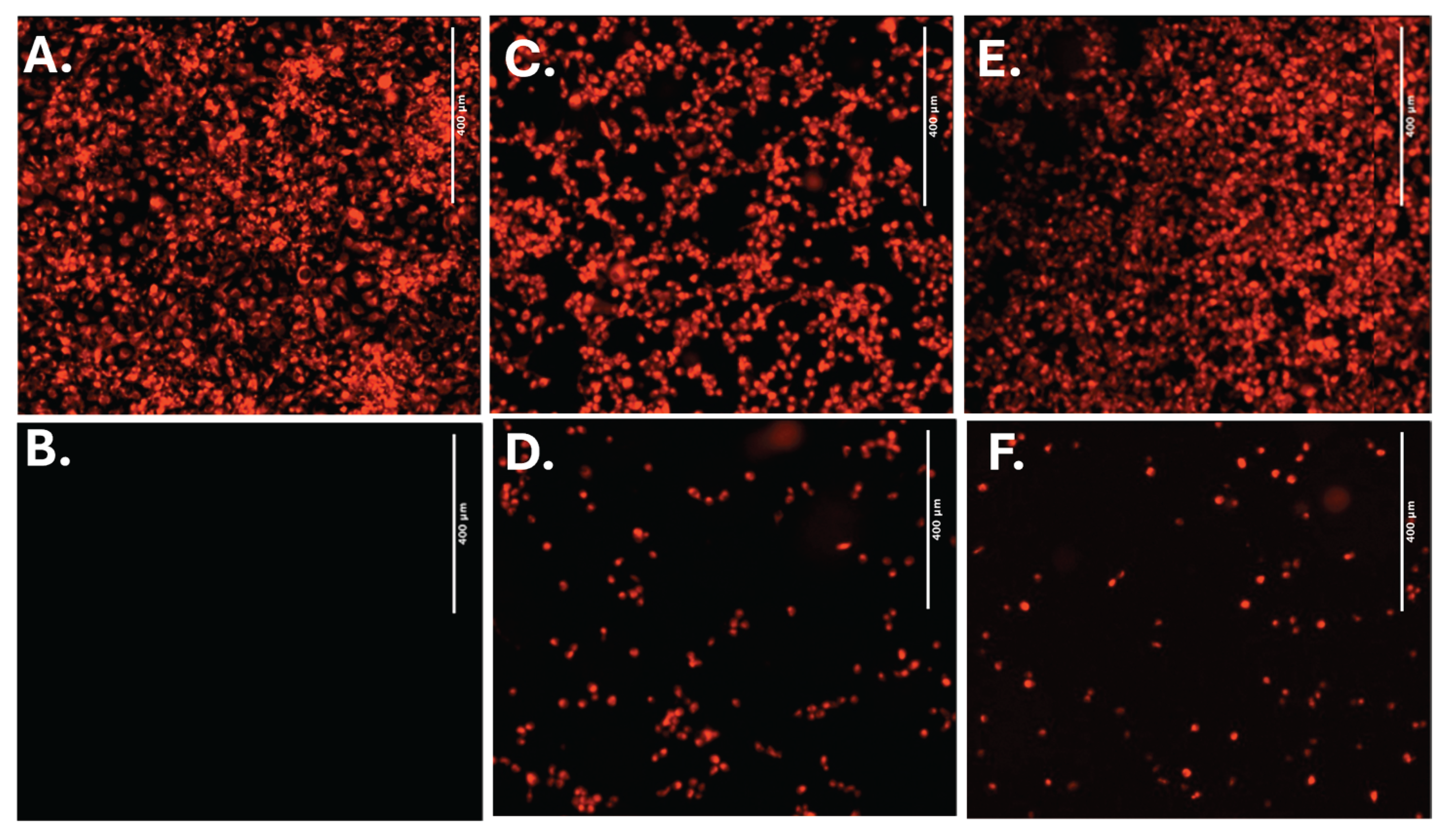 Preprints 160493 g011
