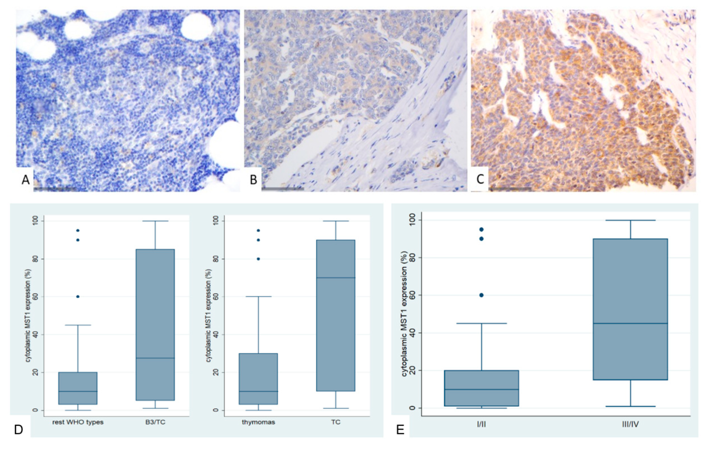Preprints 161031 g002