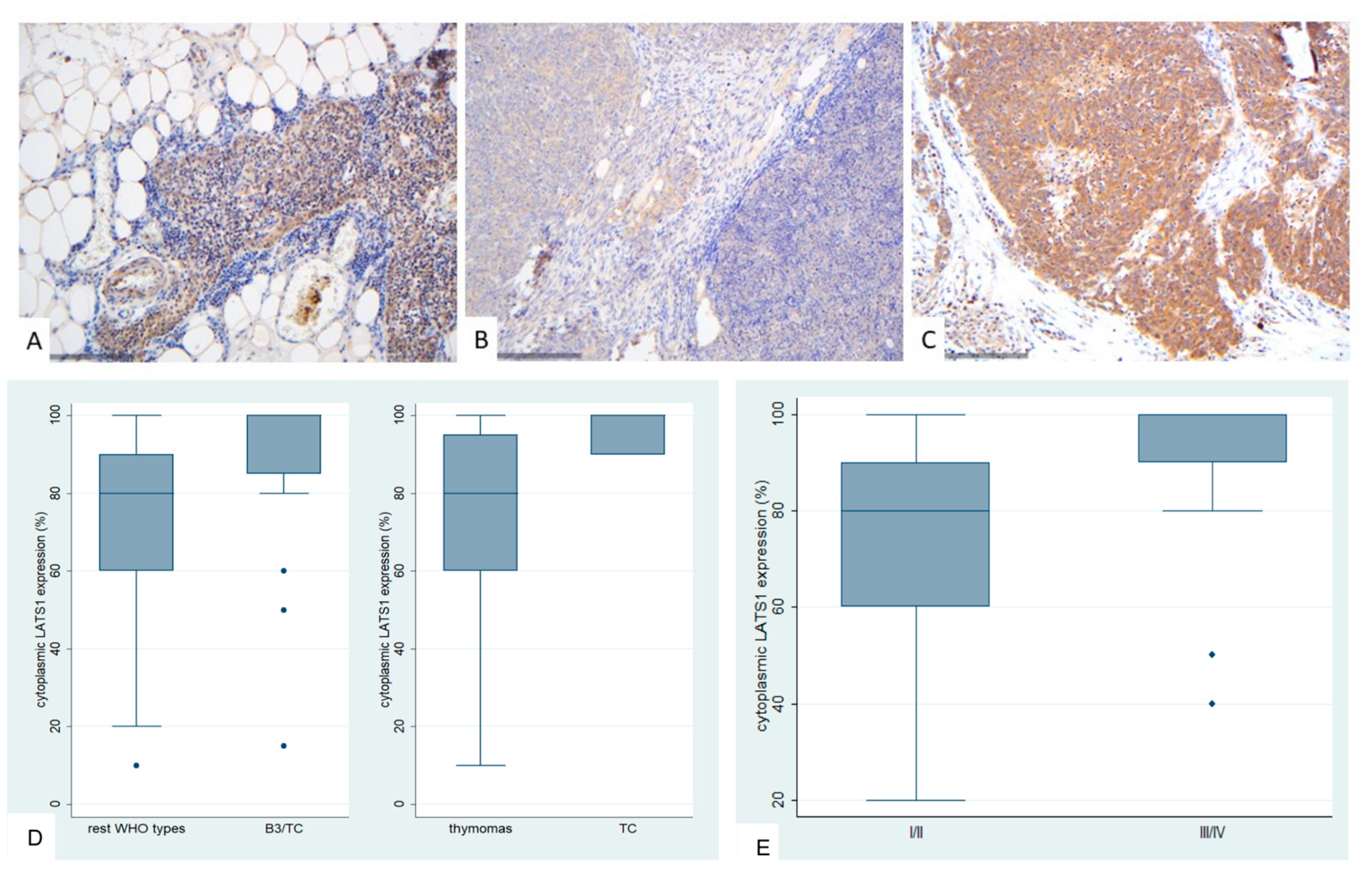 Preprints 161031 g004